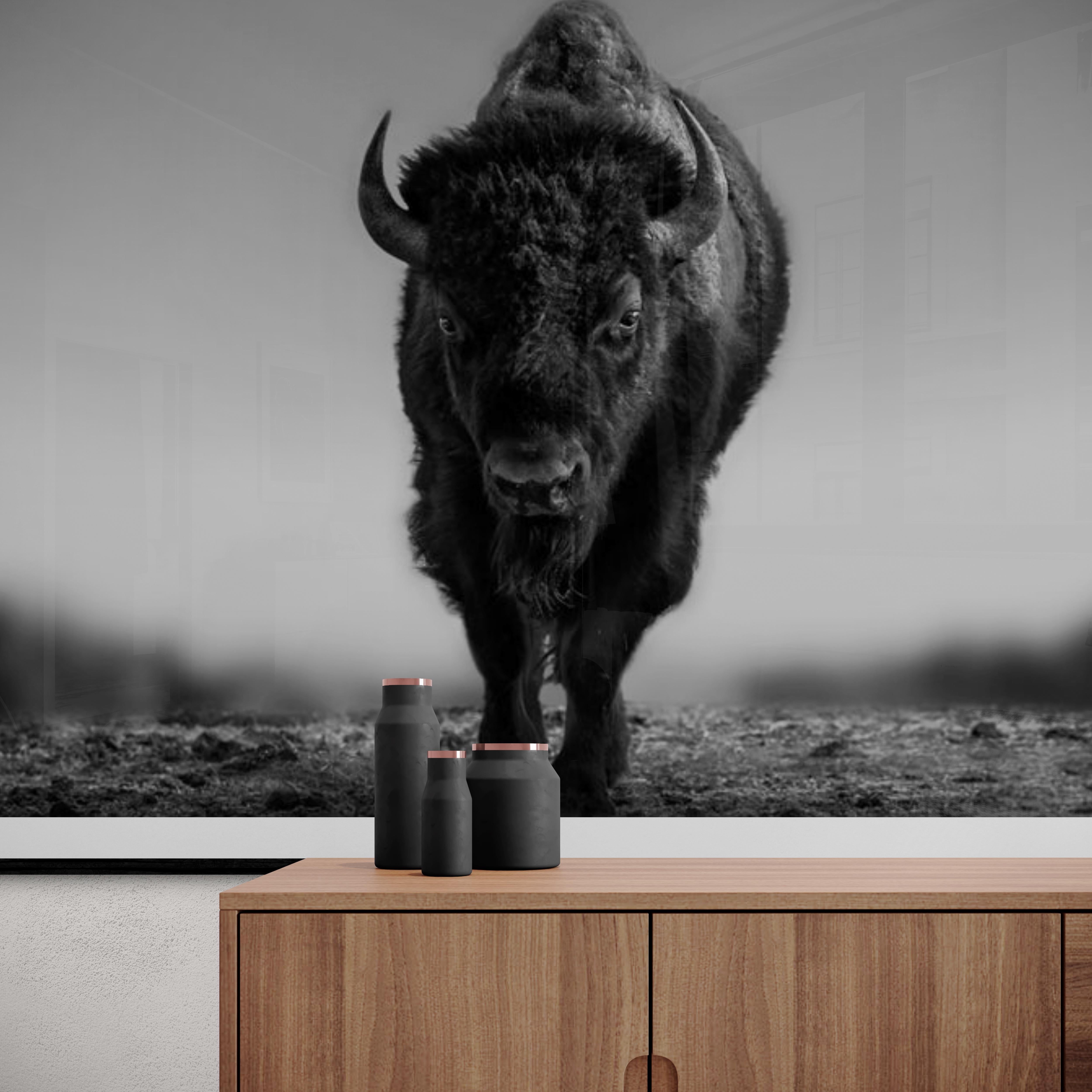 „The Beast“ 45x60 Schwarz-Schwarz-Weiß-Fotografie von Bison, Buffalo-Fotografie im Angebot 1