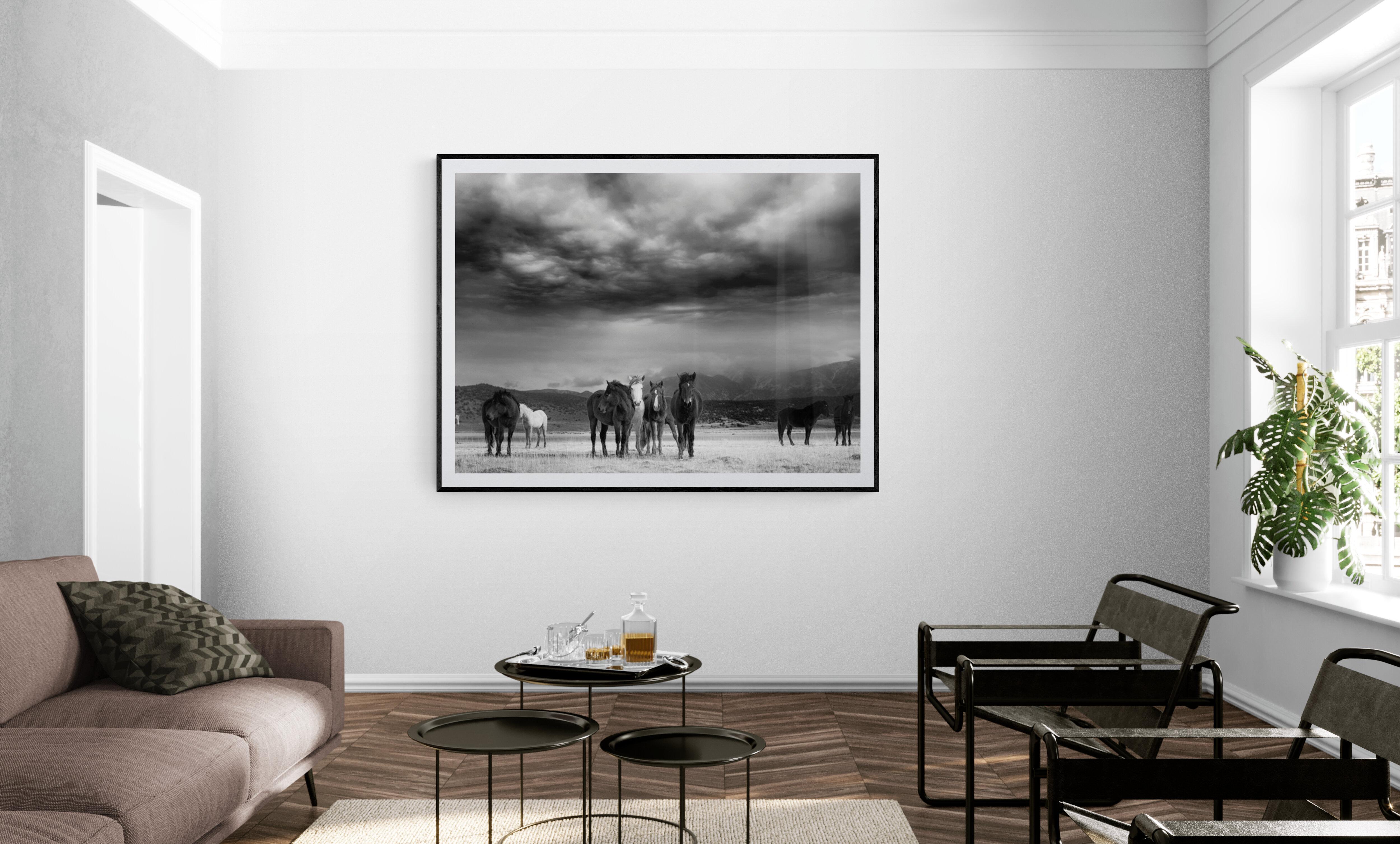 „The Calm“ 28x40 Signierte Schwarz-Weiß-Fotografie von Wildpferden, Senfkrüge 2