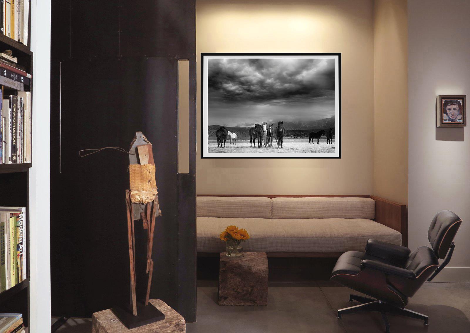 „The Calm“ 40x60 Schwarz-Weiß  Fotografie von Wildpferden Senffotografie im Angebot 4