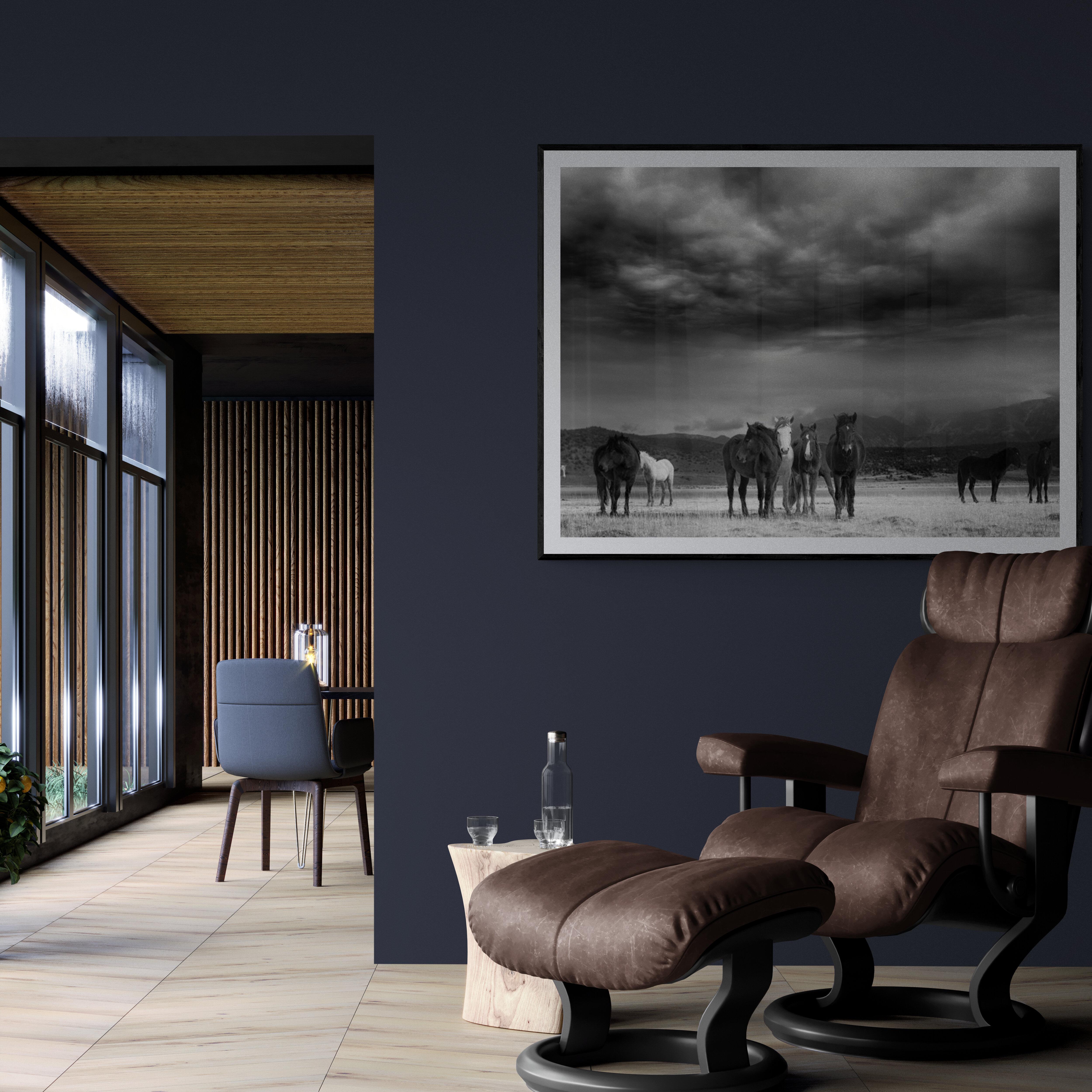 Il s'agit d'une photographie contemporaine en noir et blanc de mustangs sauvages américains. 
