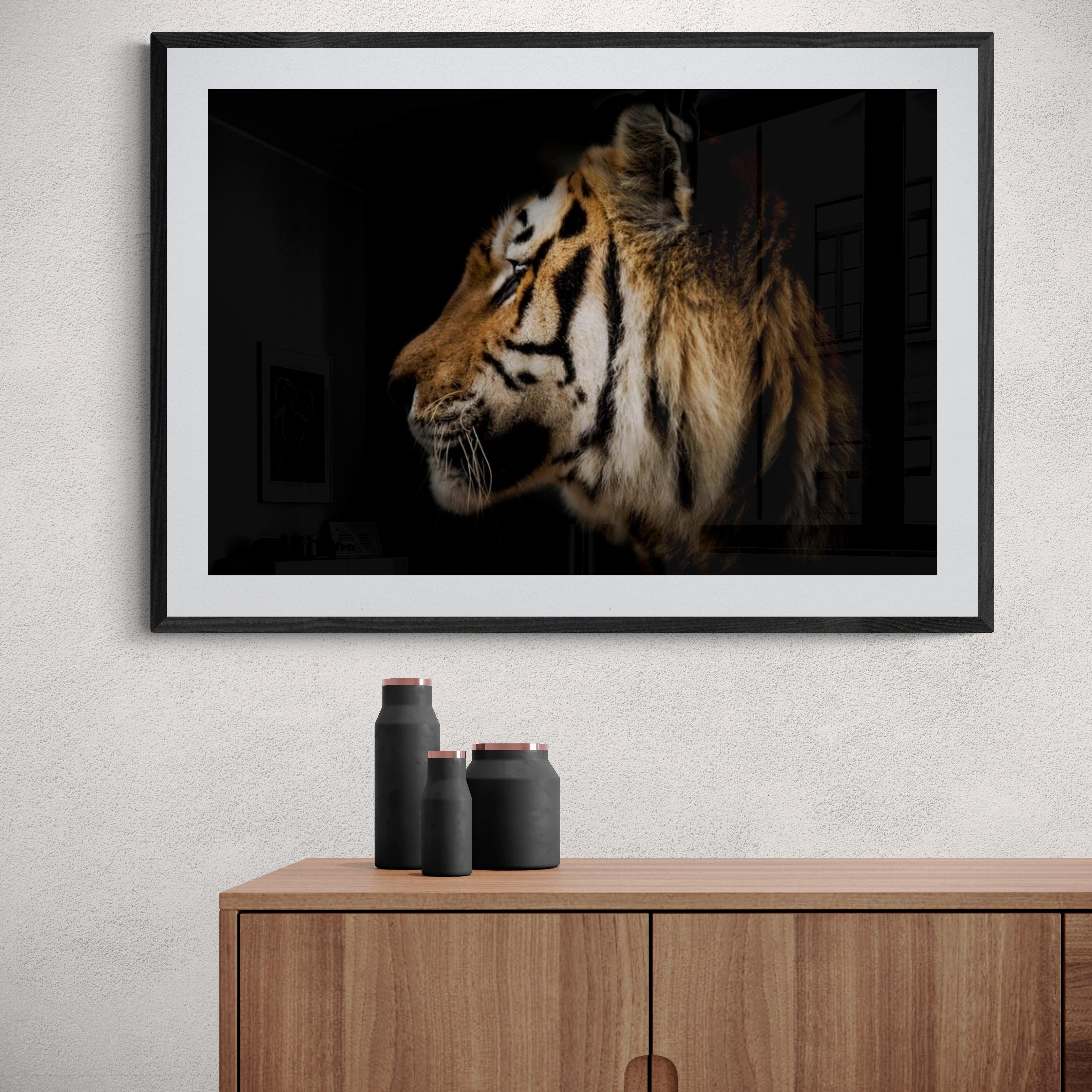 This is a contemporary photograph of a Tiger by Shane Russeck. 
60x40 
Printed on archival paper using archival inks
Unsigned print 

Shane Russeck is a modern day photographer, adventurer, and explorer. He first picked up a camera while training