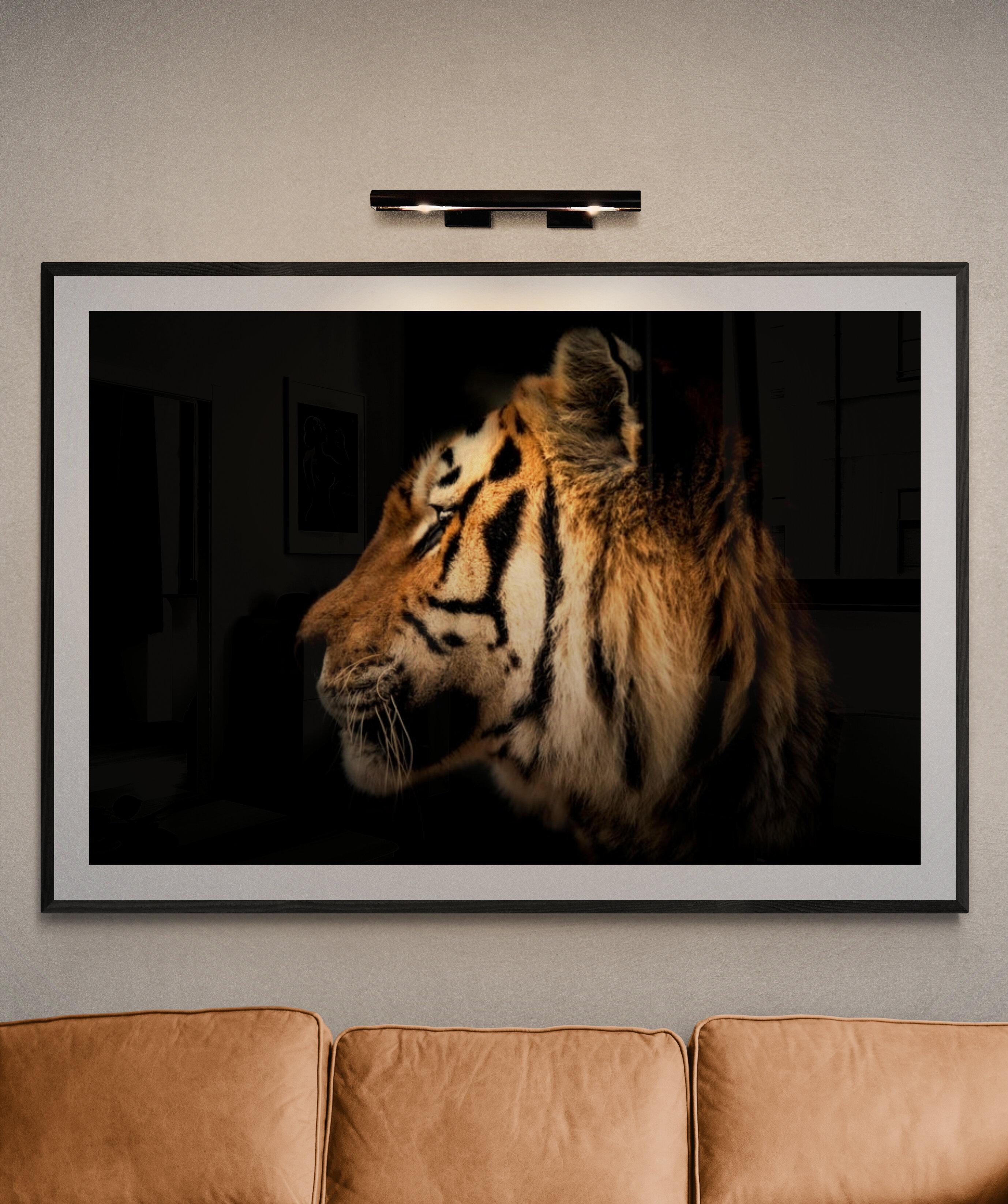 This is a contemporary photograph of a Tiger by Shane Russeck. 
60x40 
Printed on archival paper using archival inks
Unsigned print 

Shane Russeck is a modern day photographer, adventurer, and explorer. He first picked up a camera while training