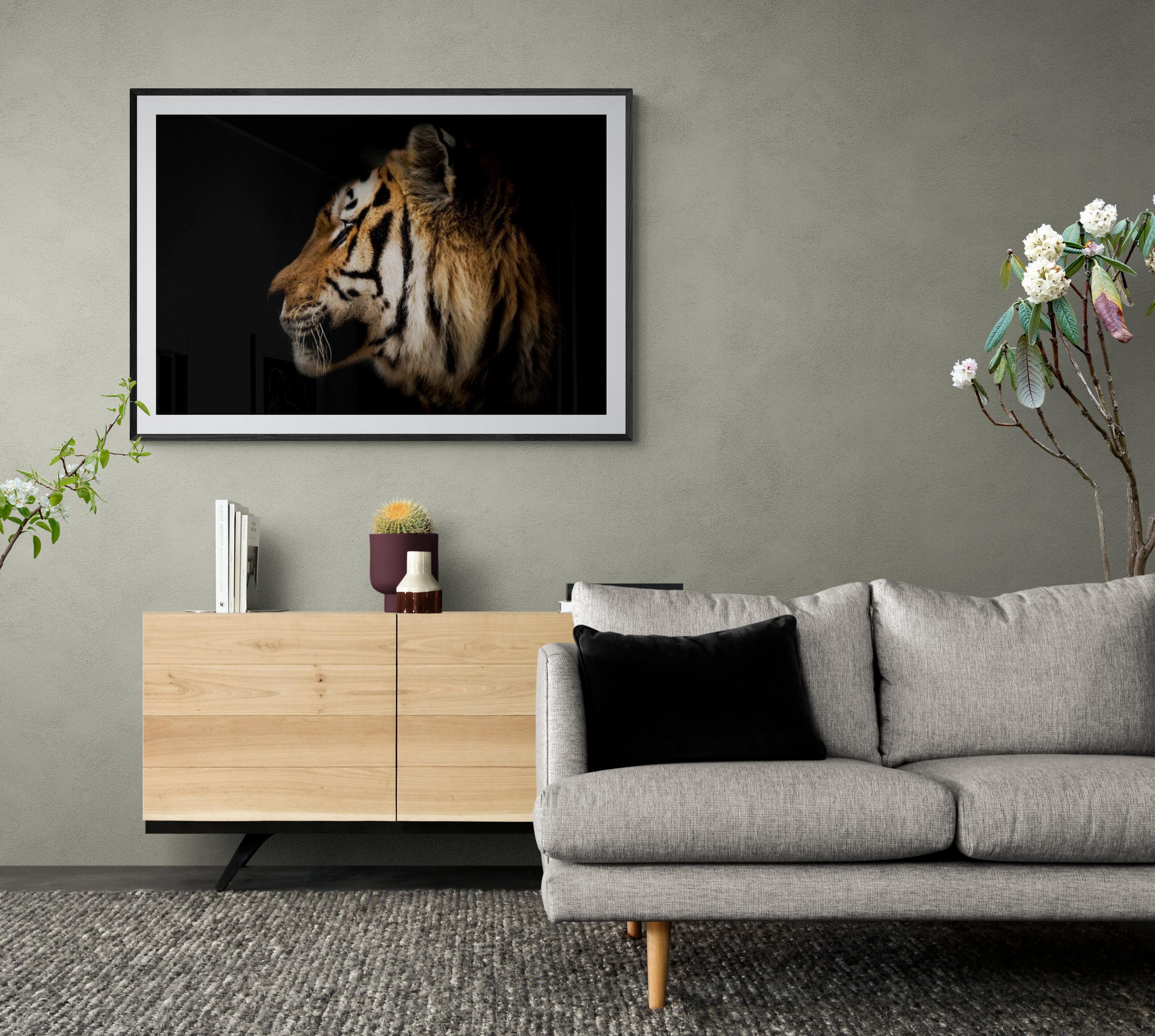 Photographie tigre portrait « Tiger Portrait » (Tiger Portrait) - 60x40 Photographie Art de la nature non signée  en vente 3