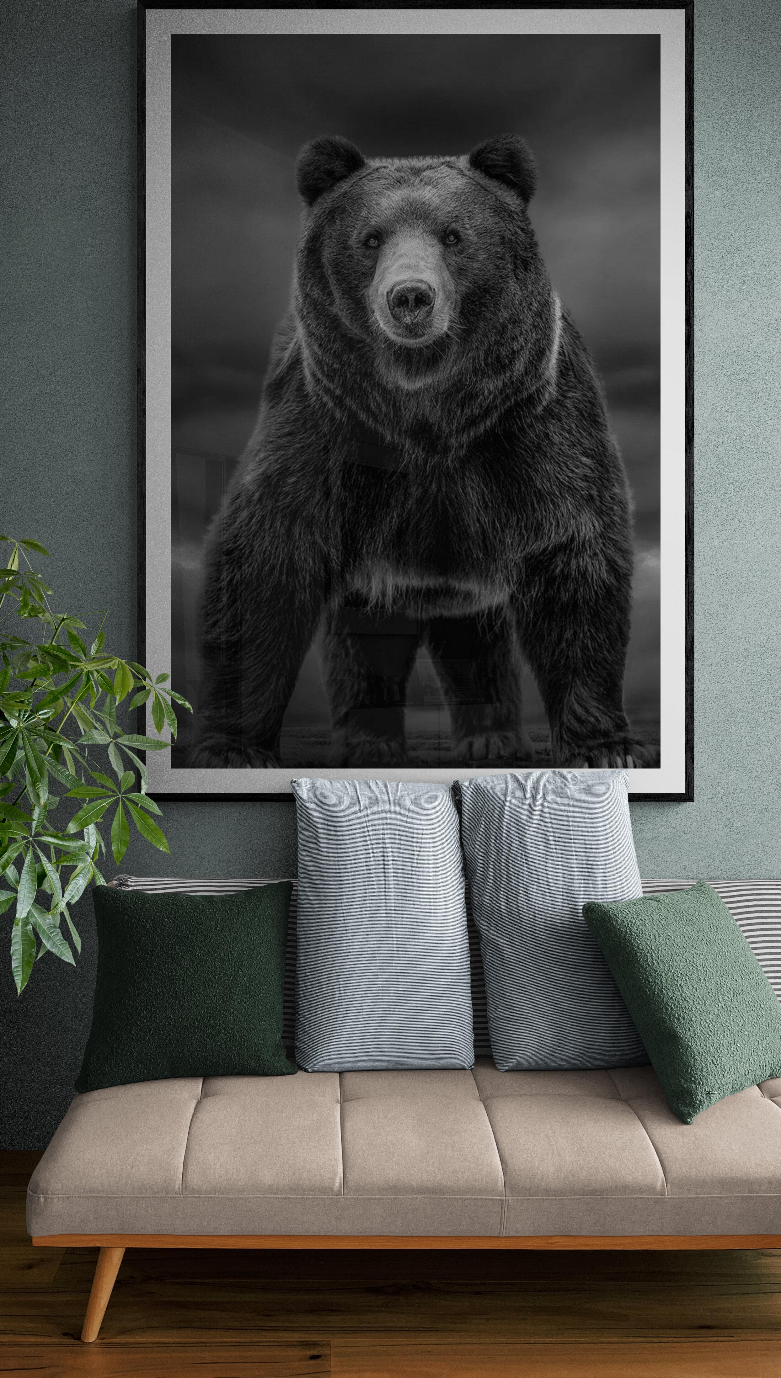 „Zeitungen wie diese“ 60x40  Schwarz-Weiß-Fotografie, Kodiak, Bär Grizzly  – Photograph von Shane Russeck