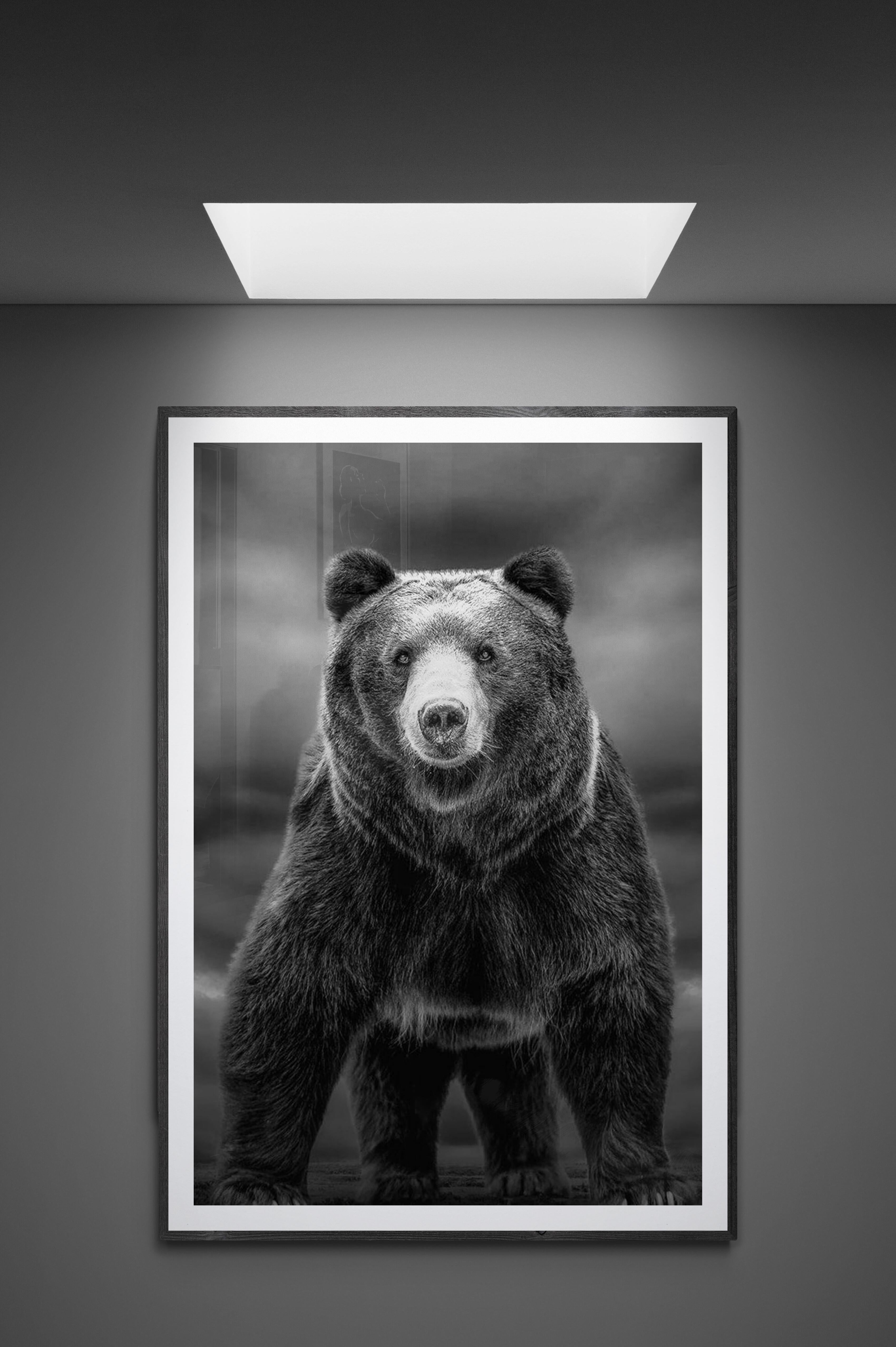 « Temps comme ceux-ci » 60x40 cm  Photographie en noir et blanc, Kodiak, ours Grizzly  en vente 3