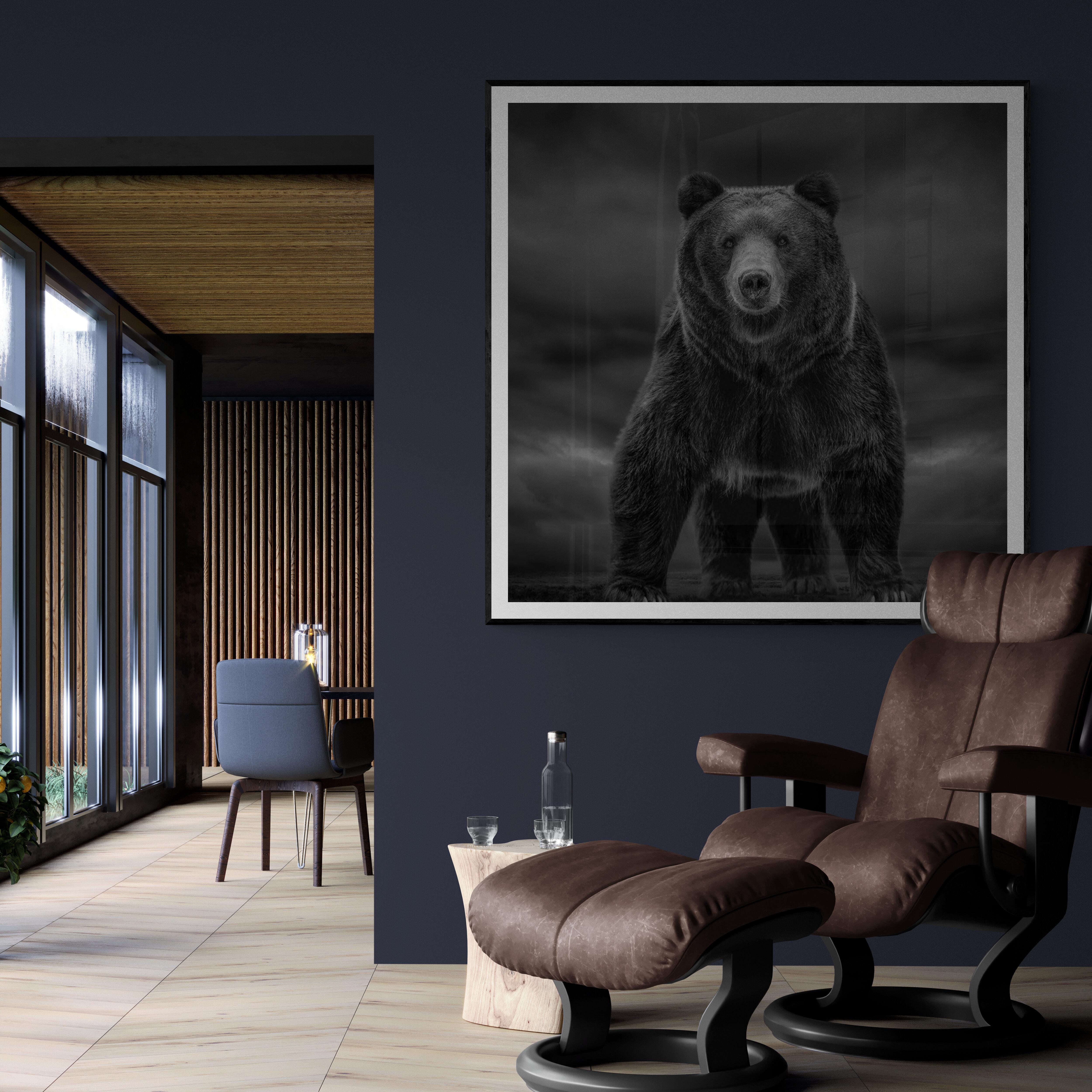 « Temps comme ceux-ci » 60x40 cm  Photographie en noir et blanc, Kodiak, ours Grizzly  en vente 5