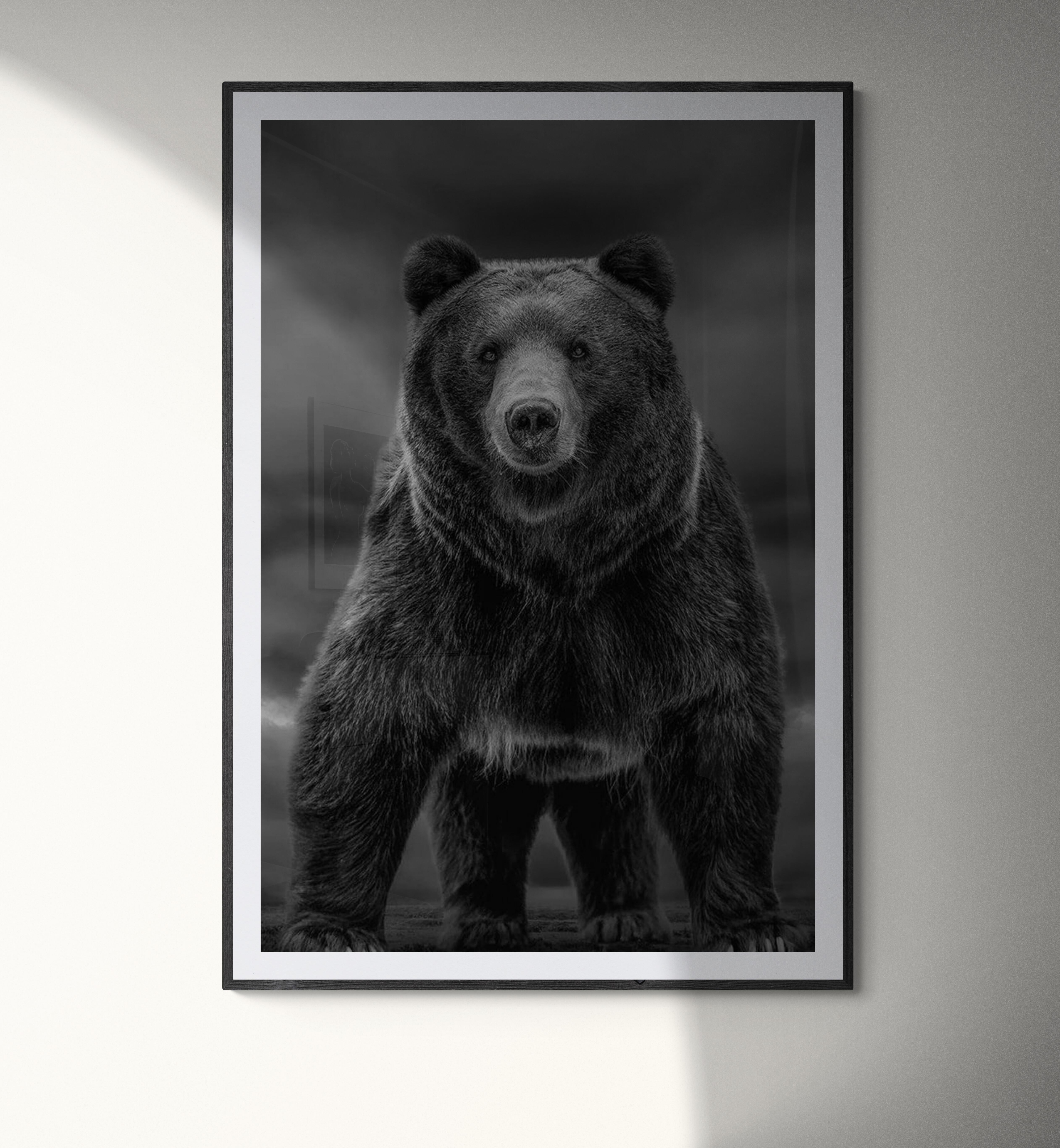 Tempi come questi 60x40 Fotografia in bianco e nero, Kodiak, Orso Grizzly Non firmato - Animal Print Nero di Shane Russeck