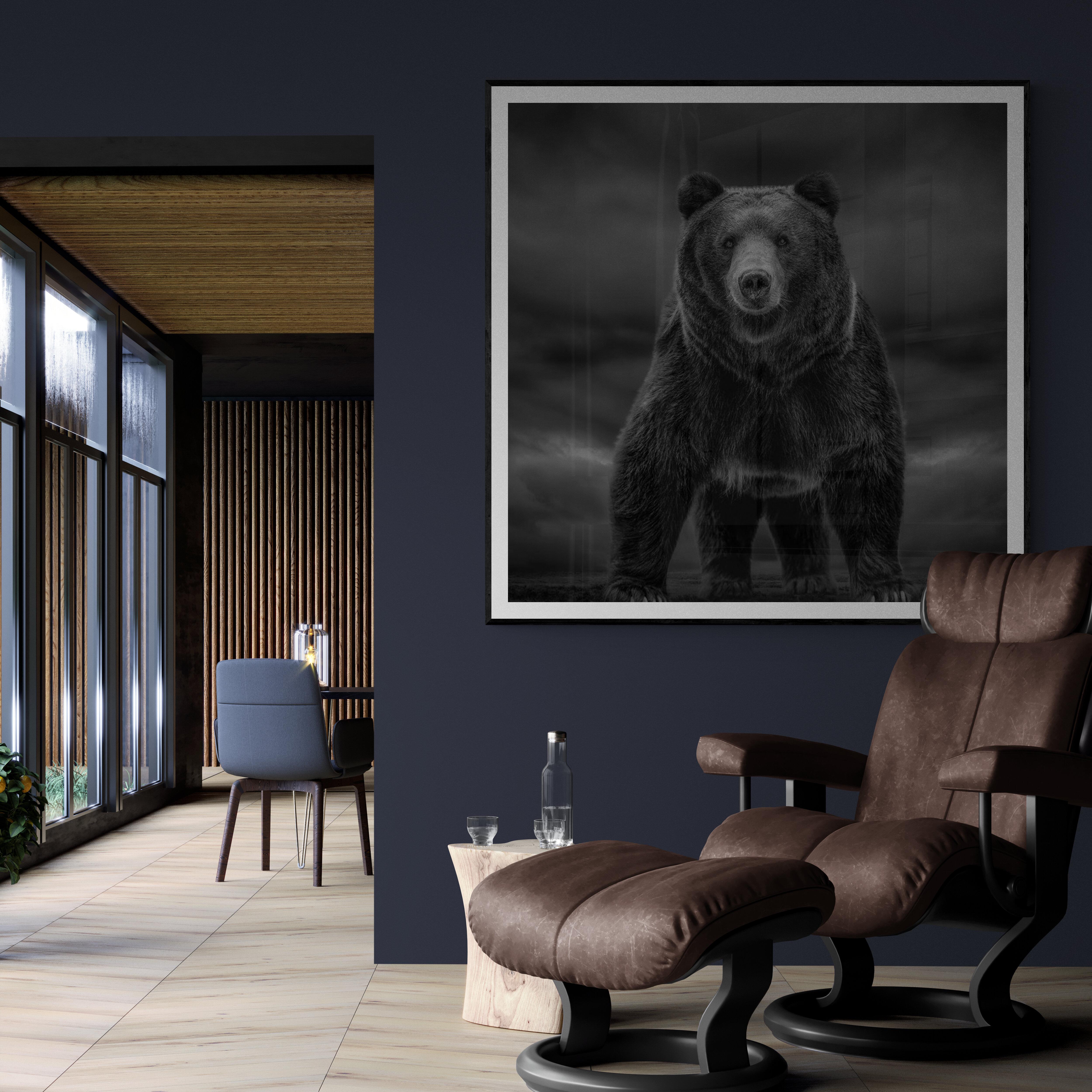Tempi come questi 60x40 Fotografia in bianco e nero, Kodiak, Orso Grizzly Non firmato in vendita 3