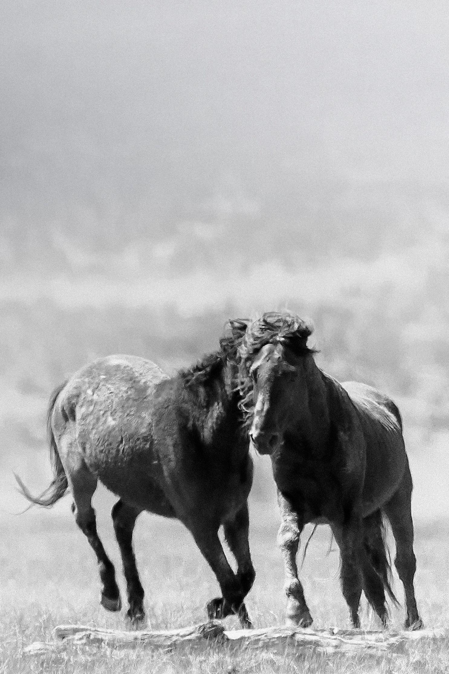 Trittico  Fotografia 