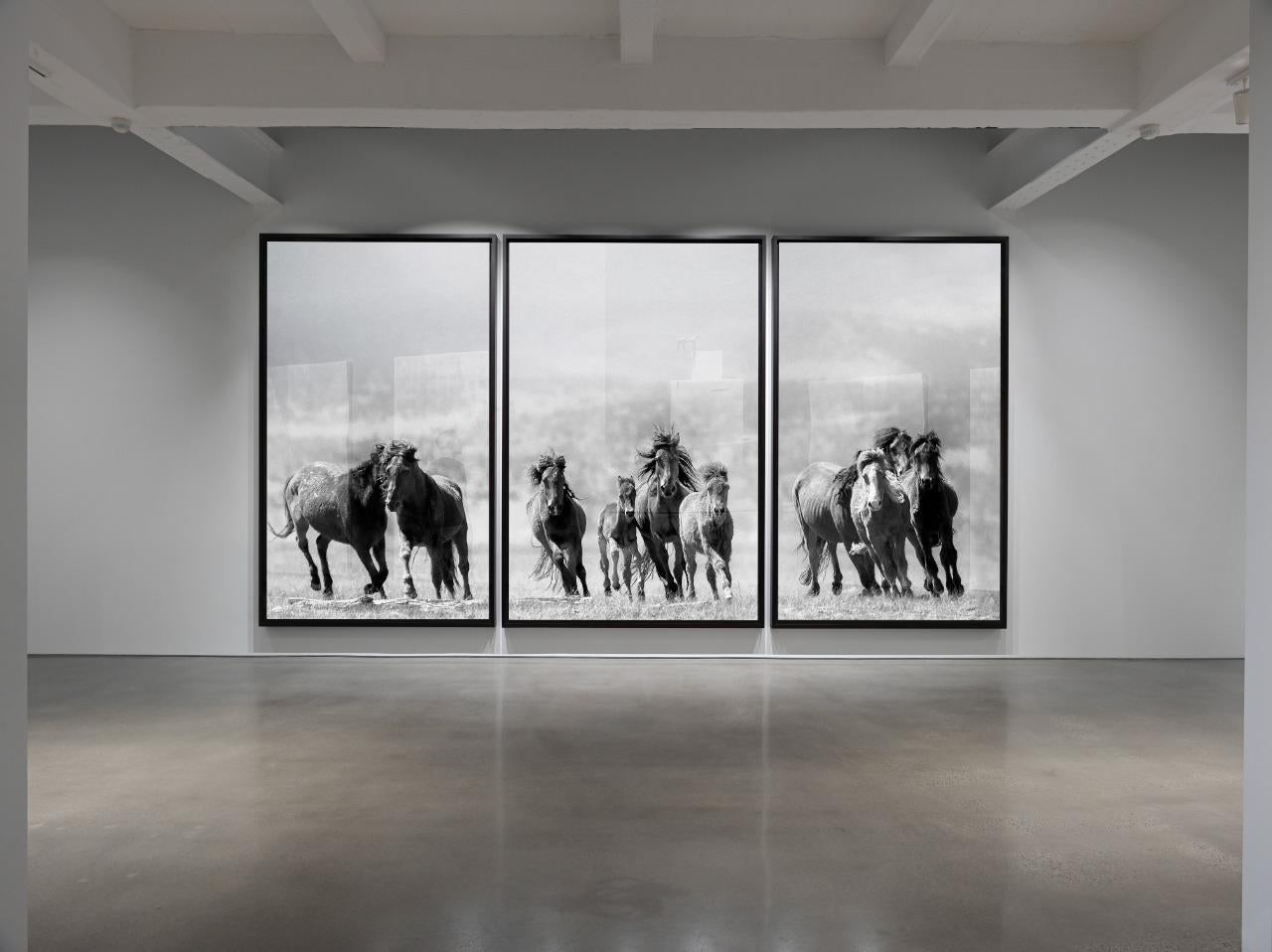 Triptychon  „Mustangs“ Fotografie von Wildpferden, 60x40 (Jeder Druck) Kunst 1
