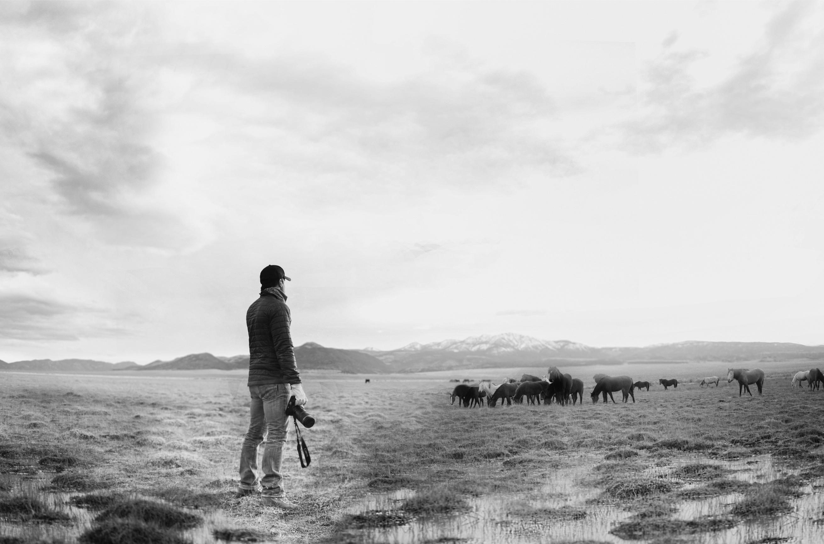 Trittico  Fotografia 