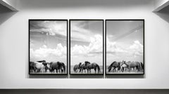 Dreifaches Triptychon Senffotografie Fotografie Wildpferde 60x40 (Jeder Druck) Kunst