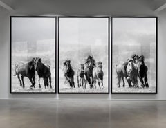 Triptyque Photographie « Mustangs » - Chevaux sauvages 60x40 (chaque tirage)