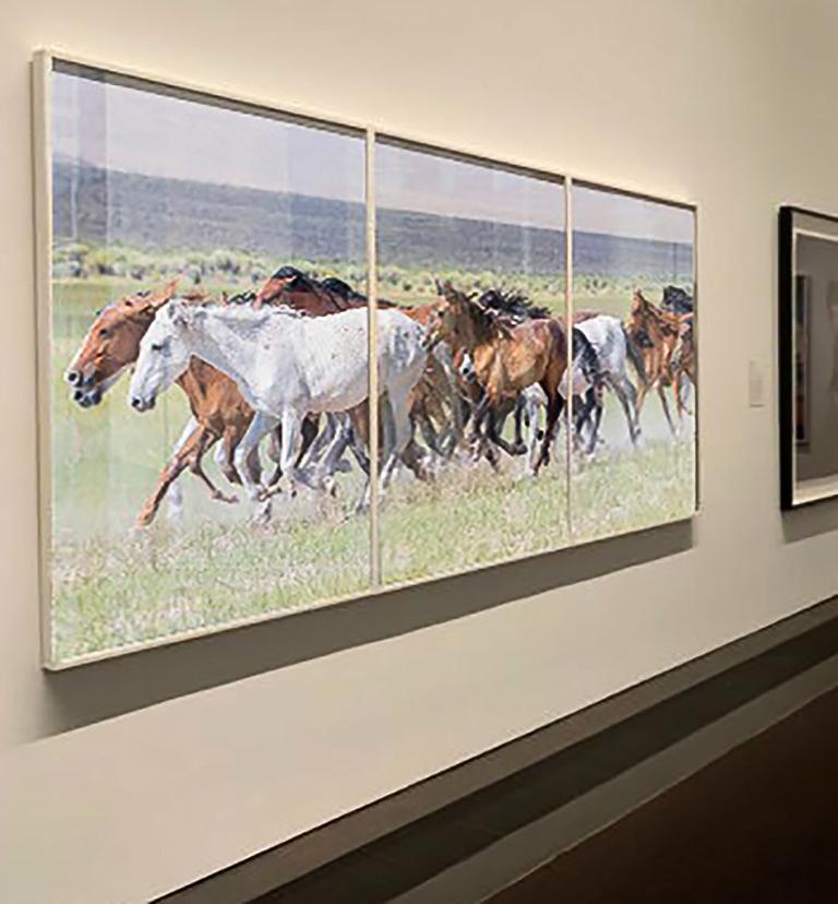  Triptyque « Running Mustangs » - Photographie d'art - Chevaux sauvages 24x36 (chaque tirage) - Gris Color Photograph par Shane Russeck