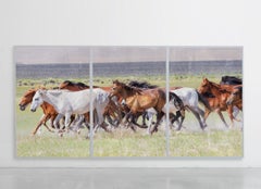  Triptych "Running Mustangs" Fine Art Photography Wild Horses 24x36 (Each print)