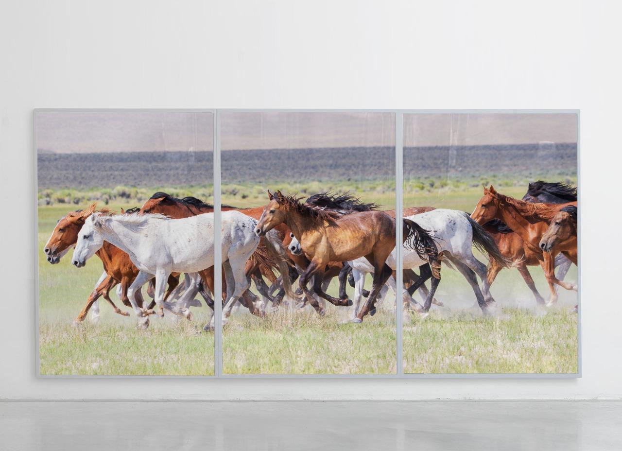 Shane Russeck Color Photograph – Dreifaches Triptychon „Läufer beim Laufen“ Kunstfotografie Wildpferde 24x36 (Jeder Druck)