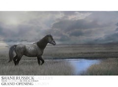 Wild Horse / Mustang Show Photography Gallery Exhibition Poster - NEW