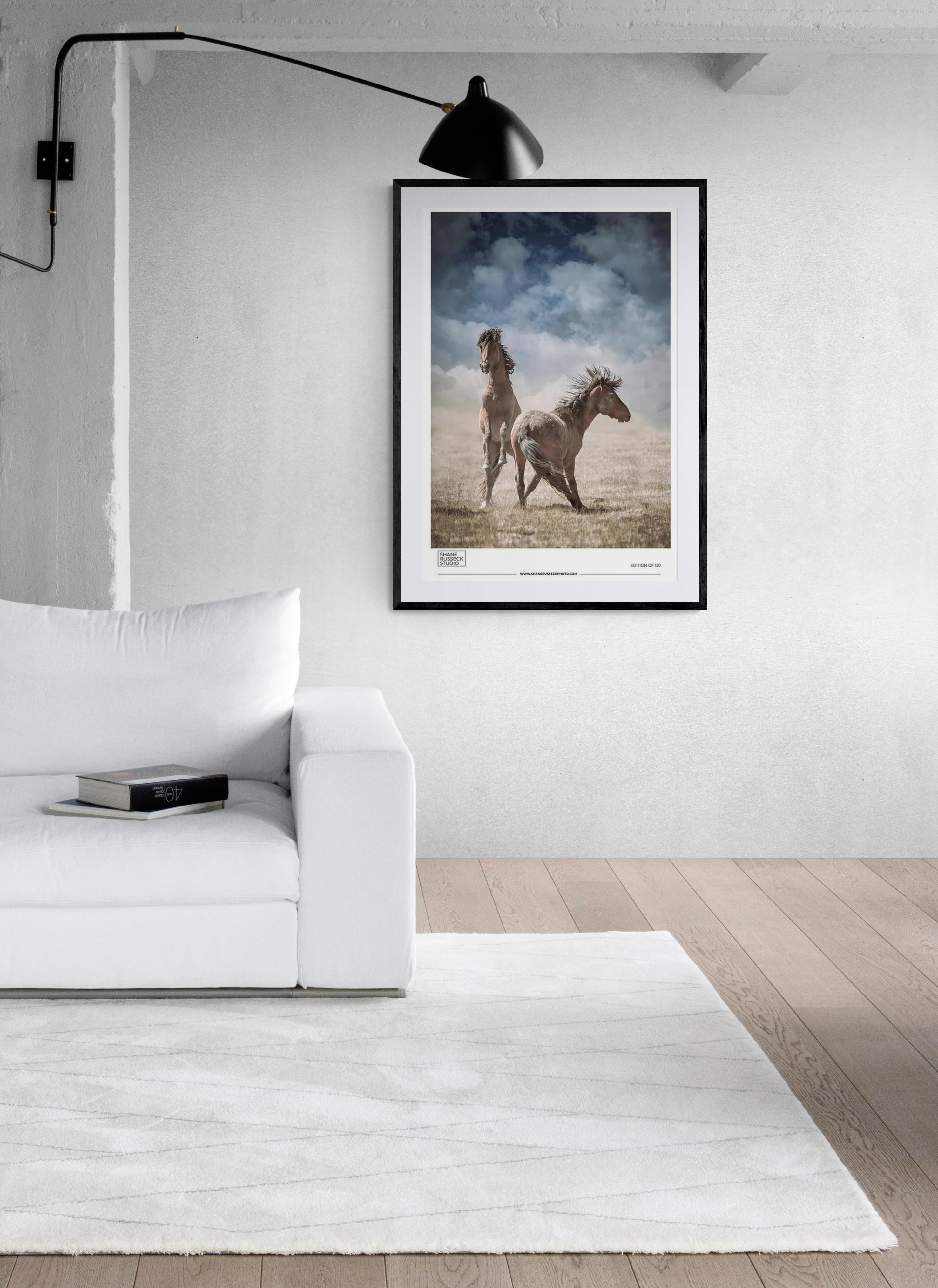 Wild Horses  Mustangs Gallery Poster- Photography Black and White Photograph Art - Print by Shane Russeck