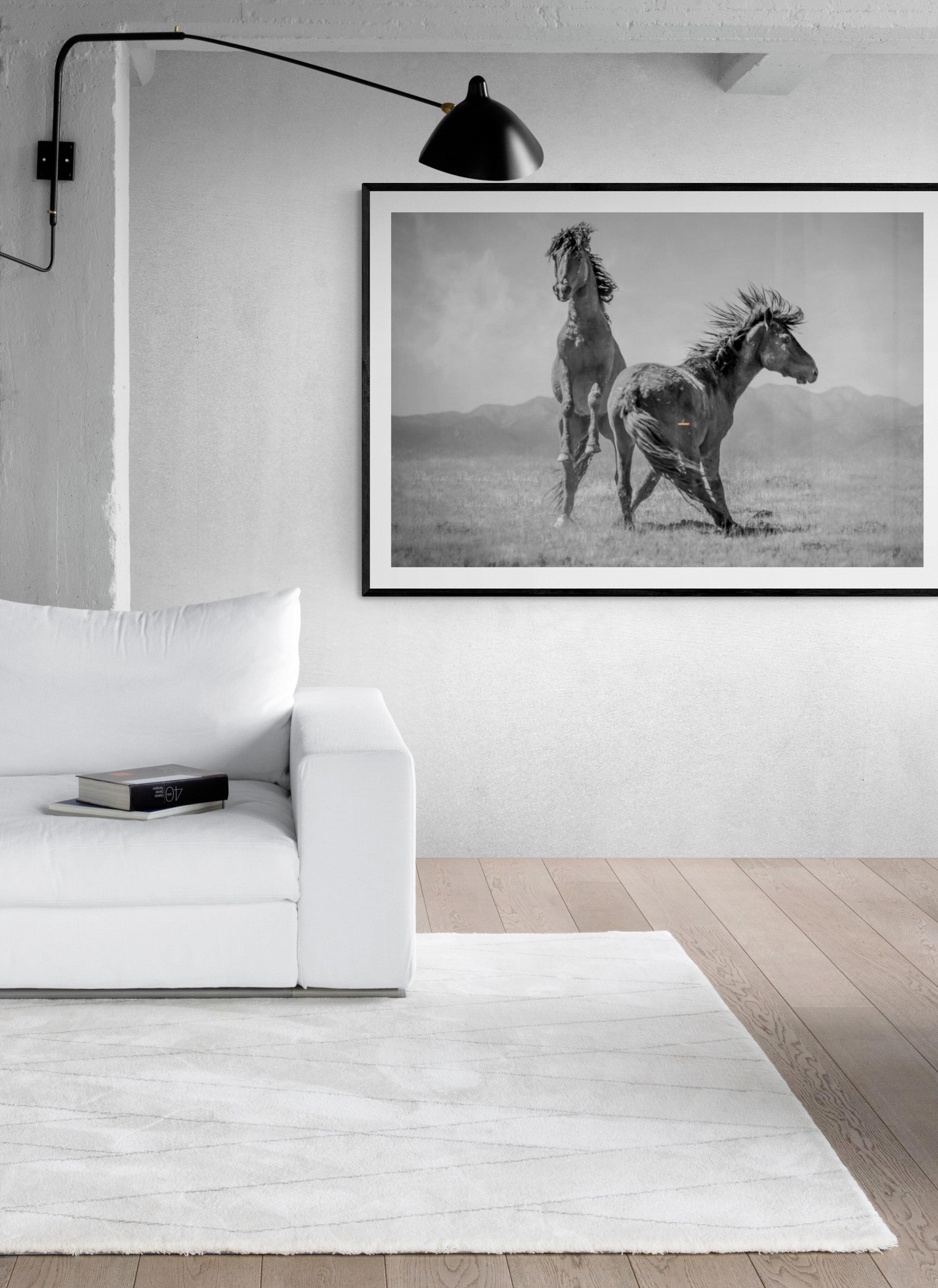 „Wonder Horses“ 36x48 – Schwarz-Weiß-Fotografie, Wildpferde, Senf, unsigniert – Print von Shane Russeck