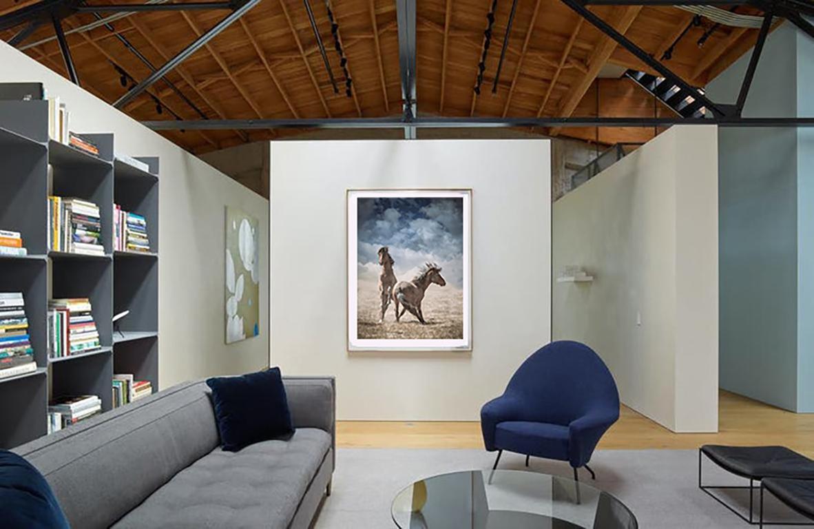 Wonder Horses 40 x 60  - Wild Horses - Wild Mustangs Photography Western Art - Print by Shane Russeck