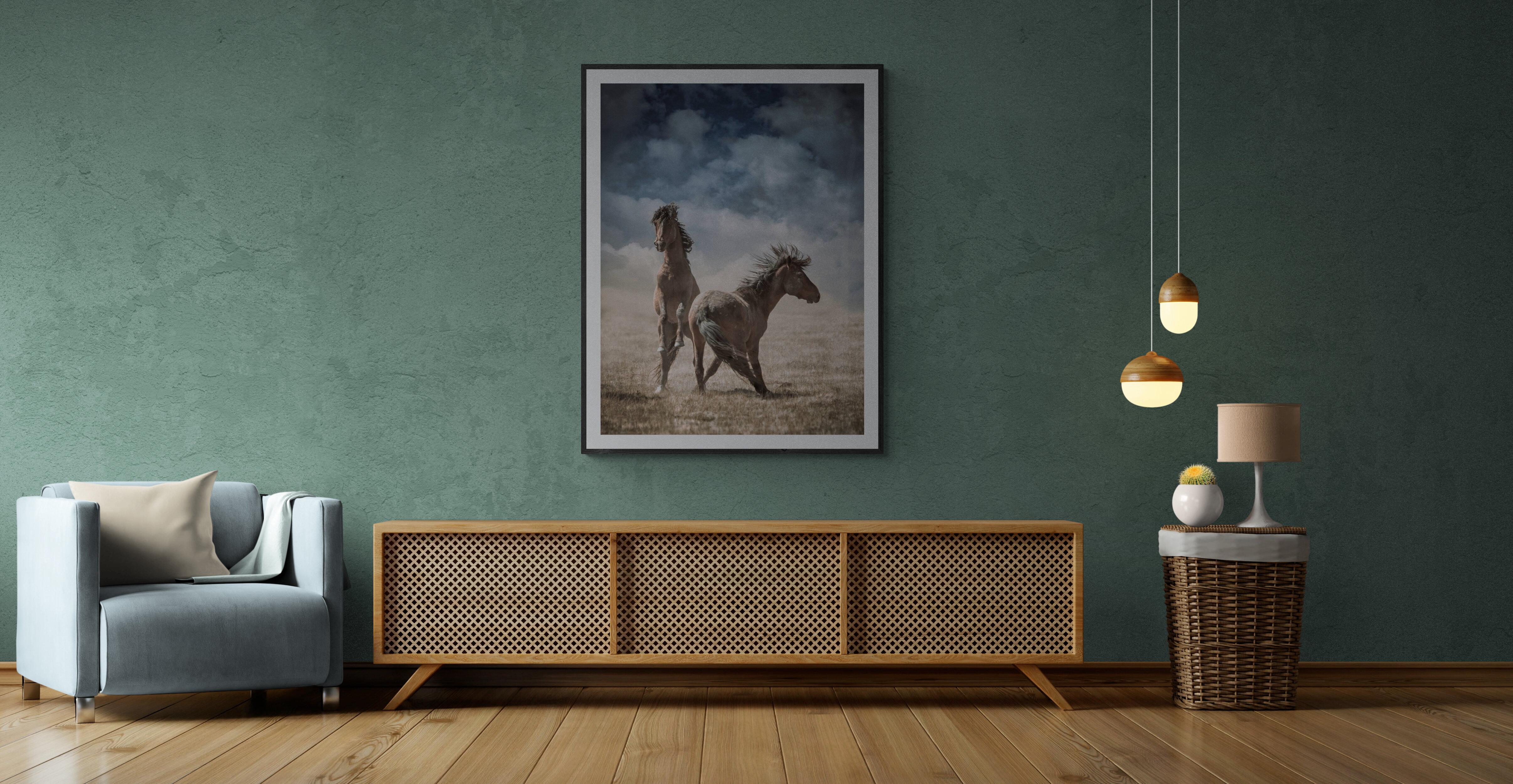  « Wild Horses » 40x 60 - Photographie de chevaux sauvages - Wild Mustangs  en vente 6