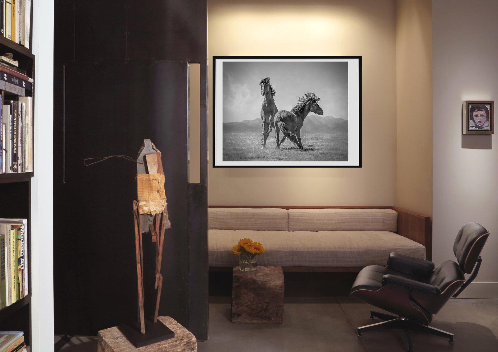 „Wonder Horses“ 40x50 - Schwarz-Weiß-Fotografie, Wildpferde Senf Western im Angebot 2