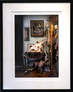David's World I 2/20 - Photographed interior of beautifully arranged objects