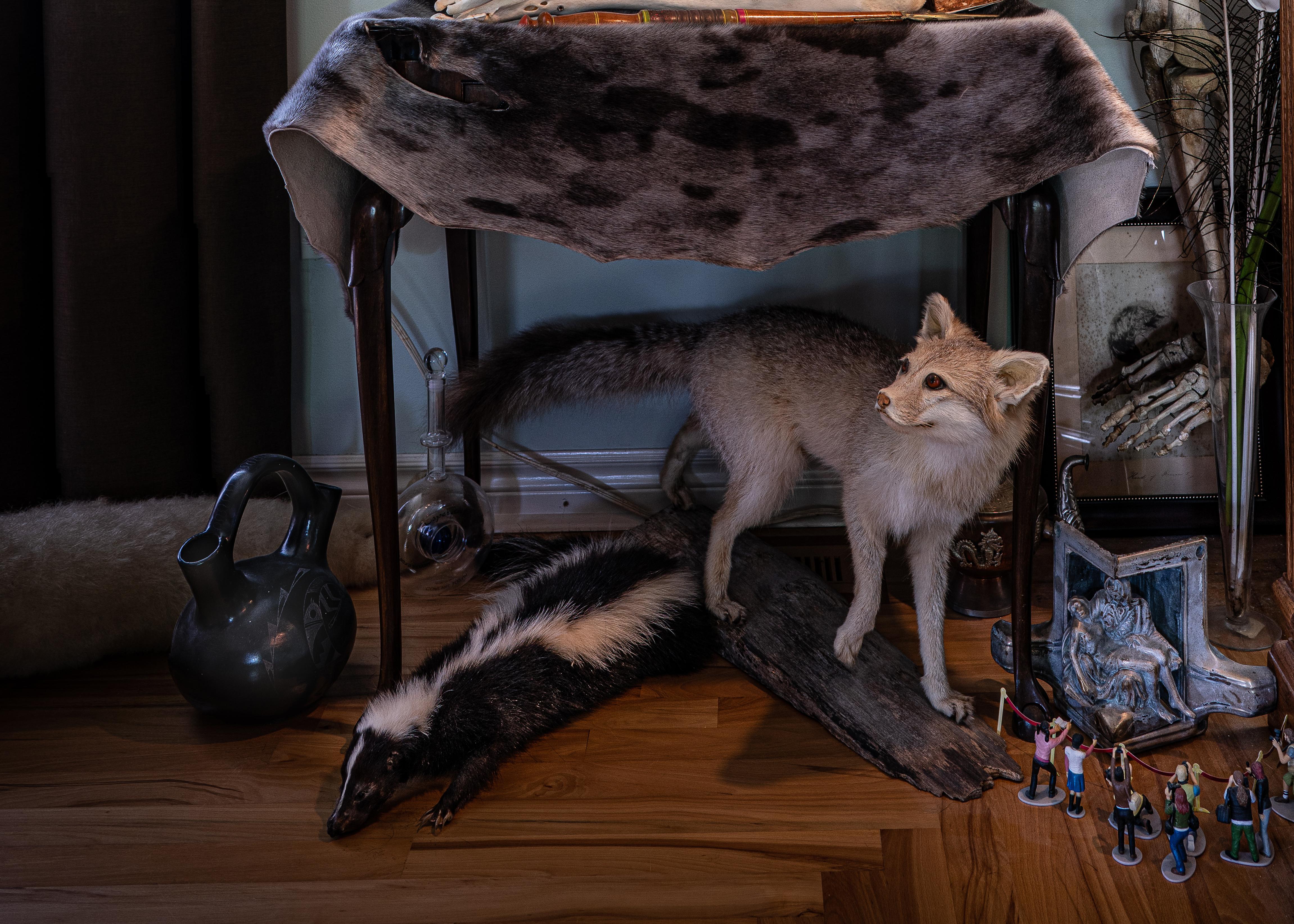 A good friend of the artist’s fascinating and prized collection--human and animal bones, taxidermy, ostrich feathers and a child’s figurines strike an intimate and curious portrait.
Shani Mootoo’s photos are not curated. The collected objects reveal