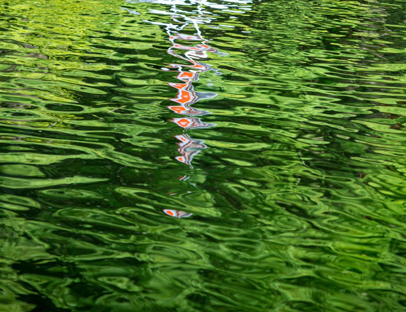 Les eaux ondulantes agissent comme un miroir reflétant le paysage verdoyant éclairé par le soleil et une bouée blanche et rouge dans cette photographie paisible de Shani Mootoo. Le plan a été pris de haut - une perspective rapprochée qui attire