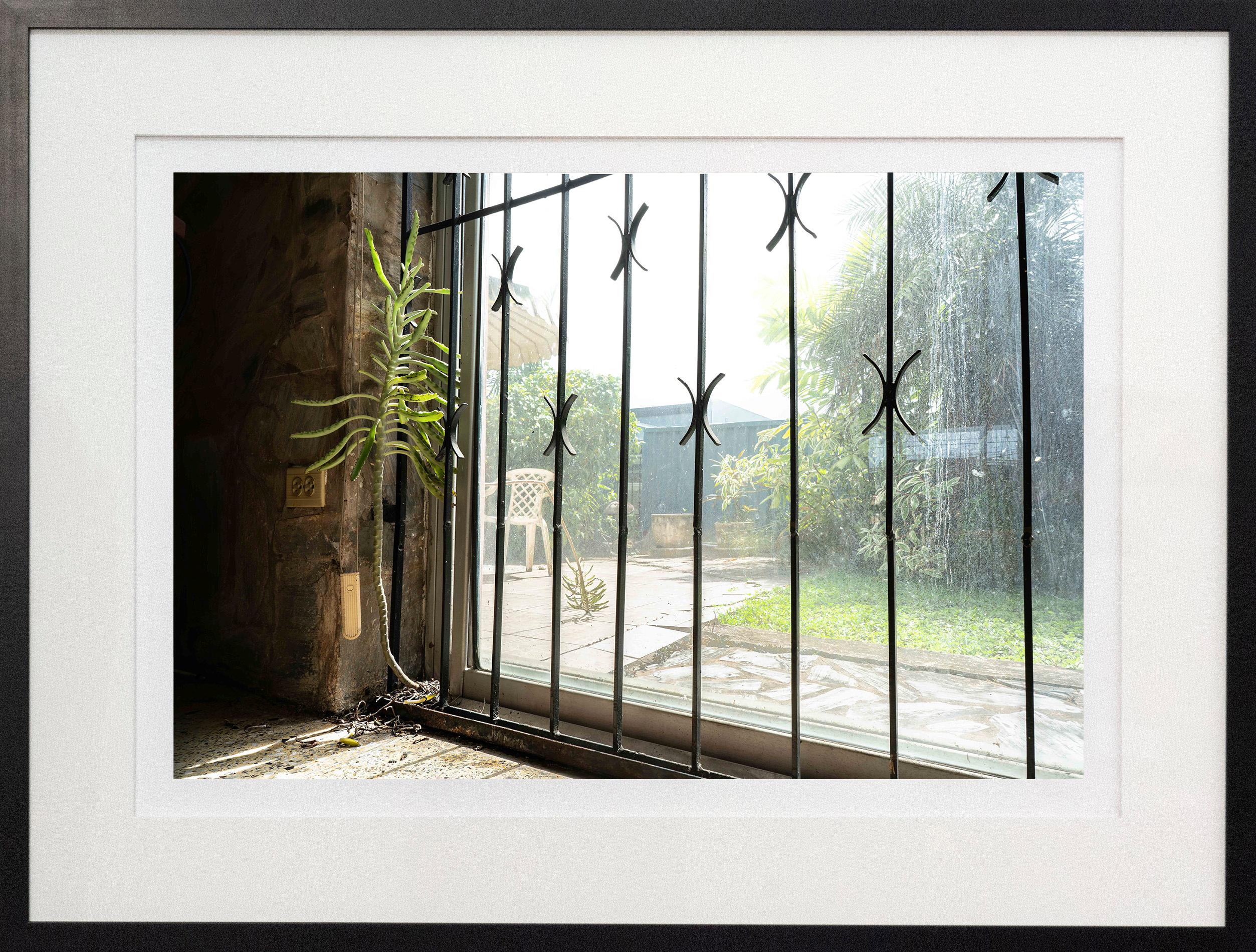 Shelter 1/8 - Trinidad, color, photography, giclée print - Photograph by Shani Mootoo