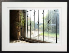 Refugio 1/8 - Trinidad, color, fotografía, impresión giclée