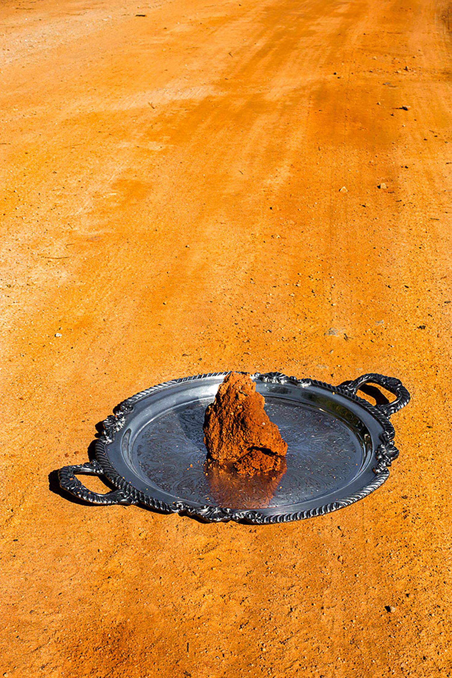 Shannon Davis Color Photograph - "Kin" - Southern, red clay, landscape, silver platter, still life photography