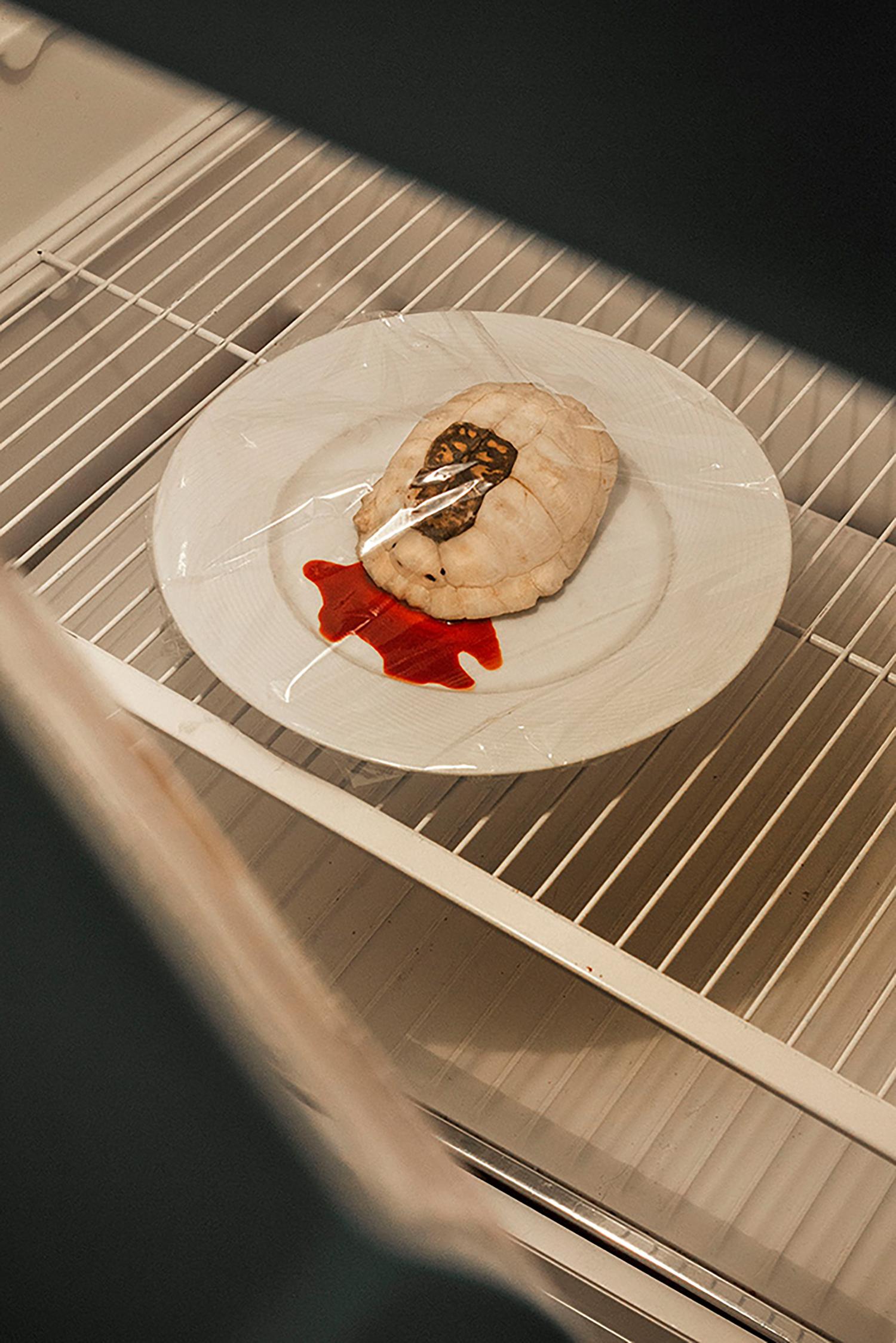 Shannon Davis Still-Life Photograph - "Leftover" Southern, turtle, food, conceptual, still life photography, white
