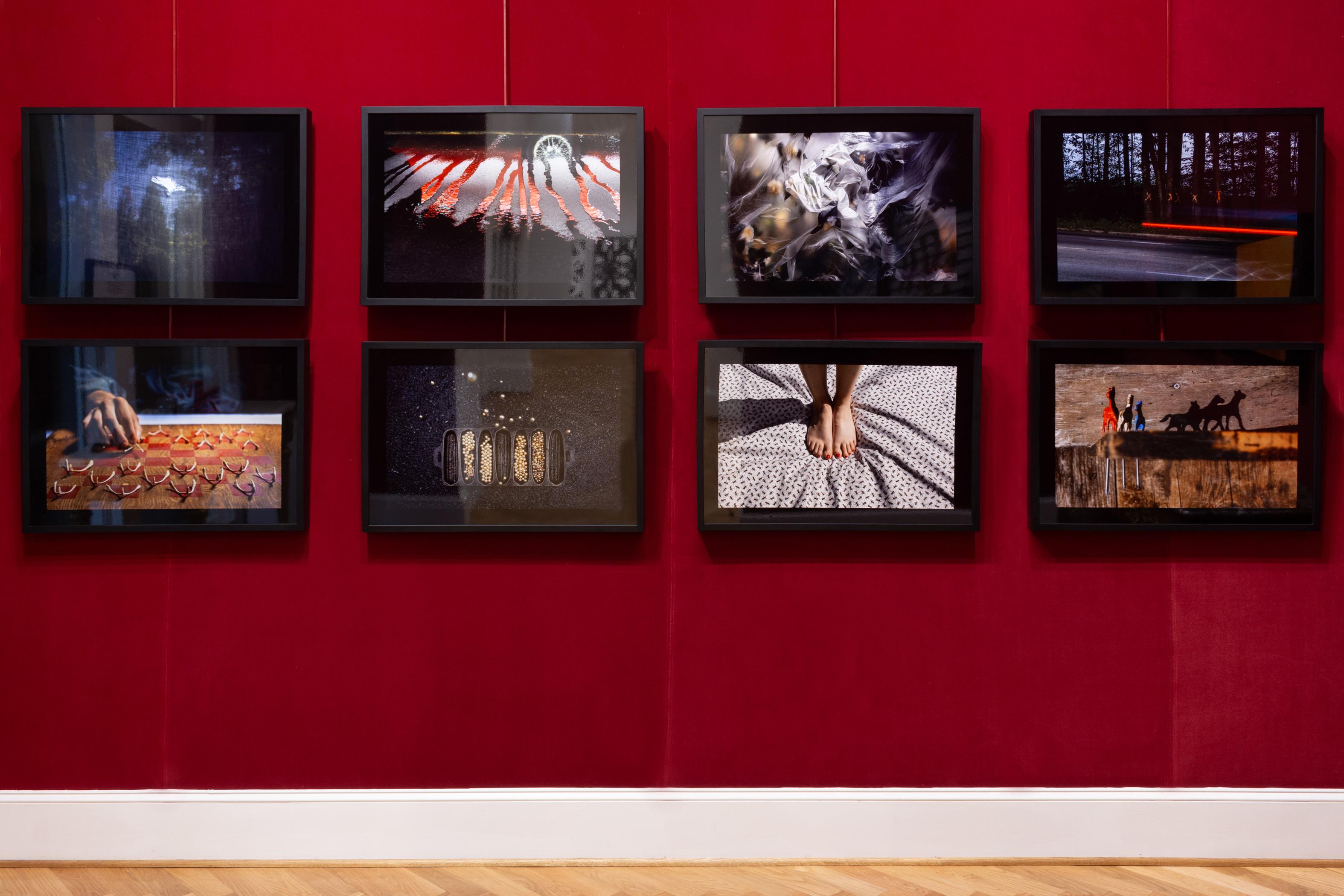 Peek - Sud, paysage, photographie mise en scène, abstrait, bleu, arbres - Contemporain Photograph par Shannon Davis