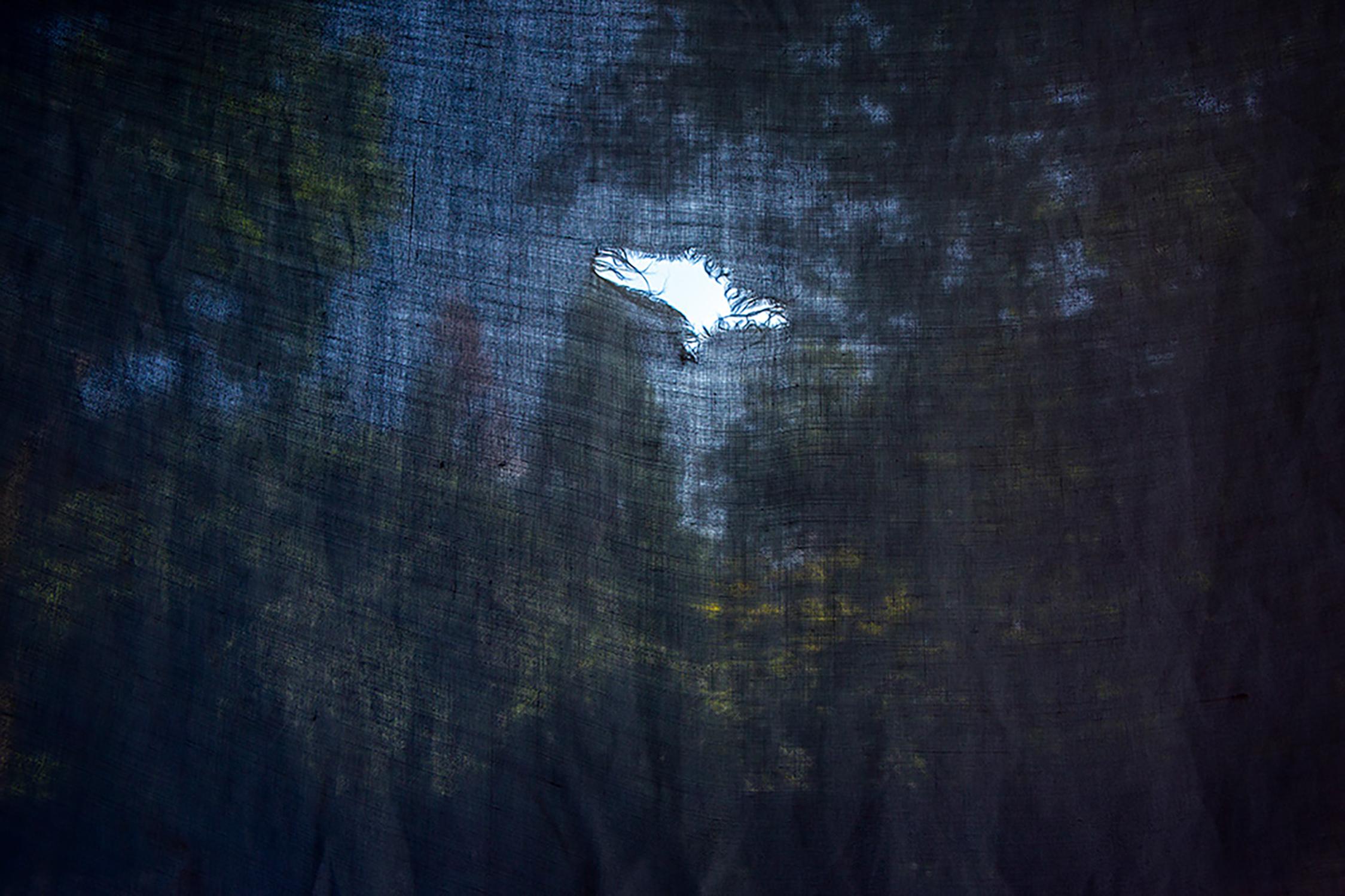 Shannon Davis Color Photograph - "Peek" - Southern, landscape, staged photography, abstract, blue, trees