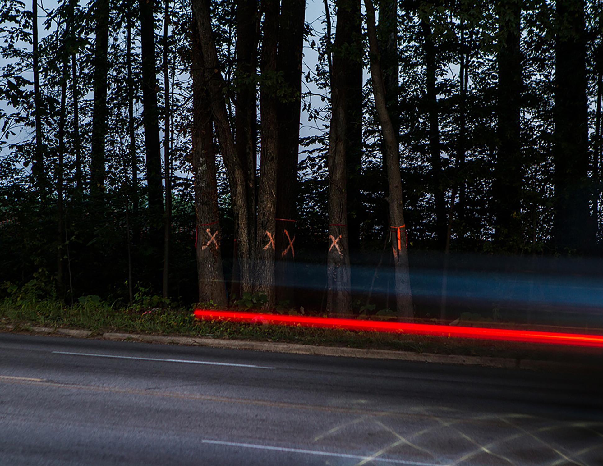 Shannon Davis Color Photograph – „XXX“ Südstaaten, Bäume, Landschaft, Dunkelheit, Nacht, Lichtfotografie