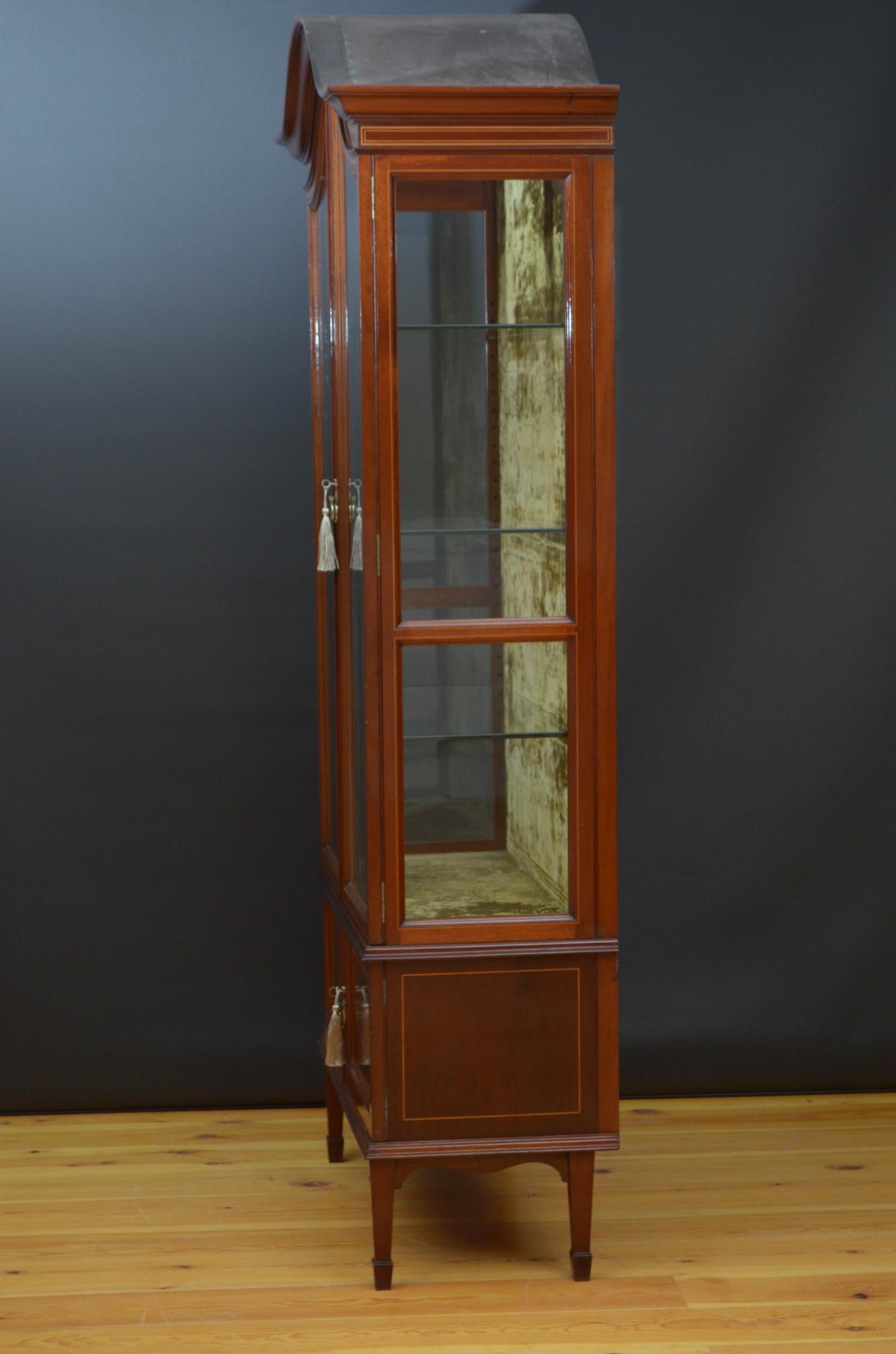 Shapland and Petter Edwardian Display Cabinet For Sale 8
