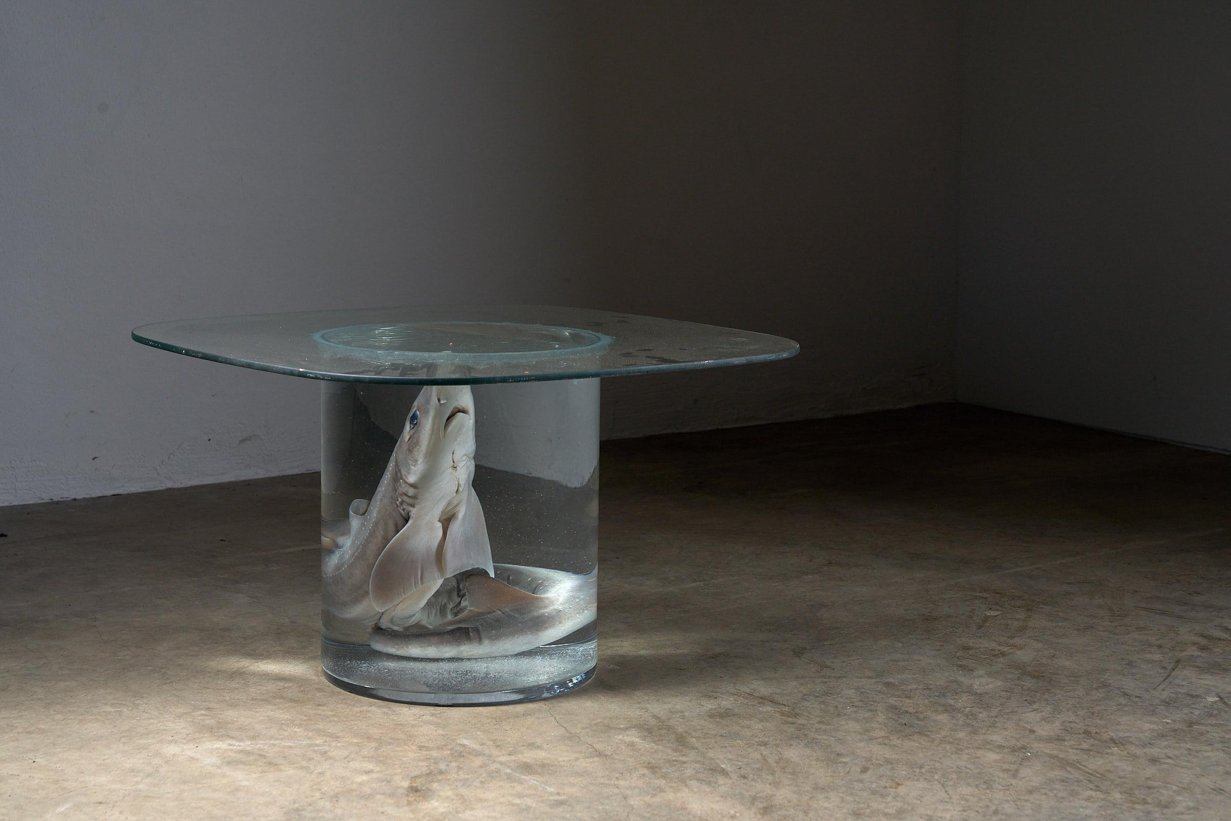 Shark on Formaldehyde Side Table, Taxidermy For Sale 6