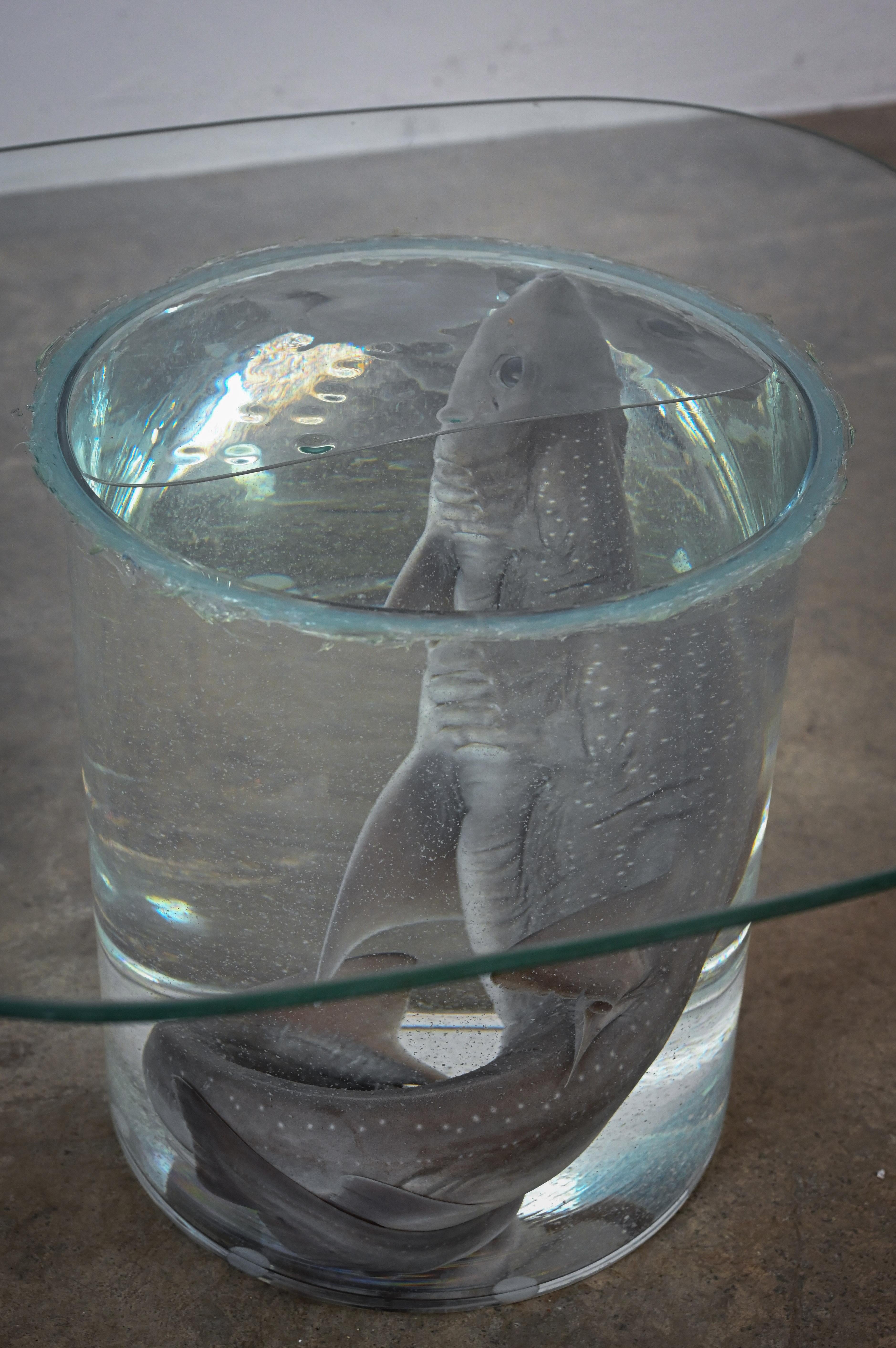 Hand-Crafted Shark on Formaldehyde Side Table, Taxidermy For Sale