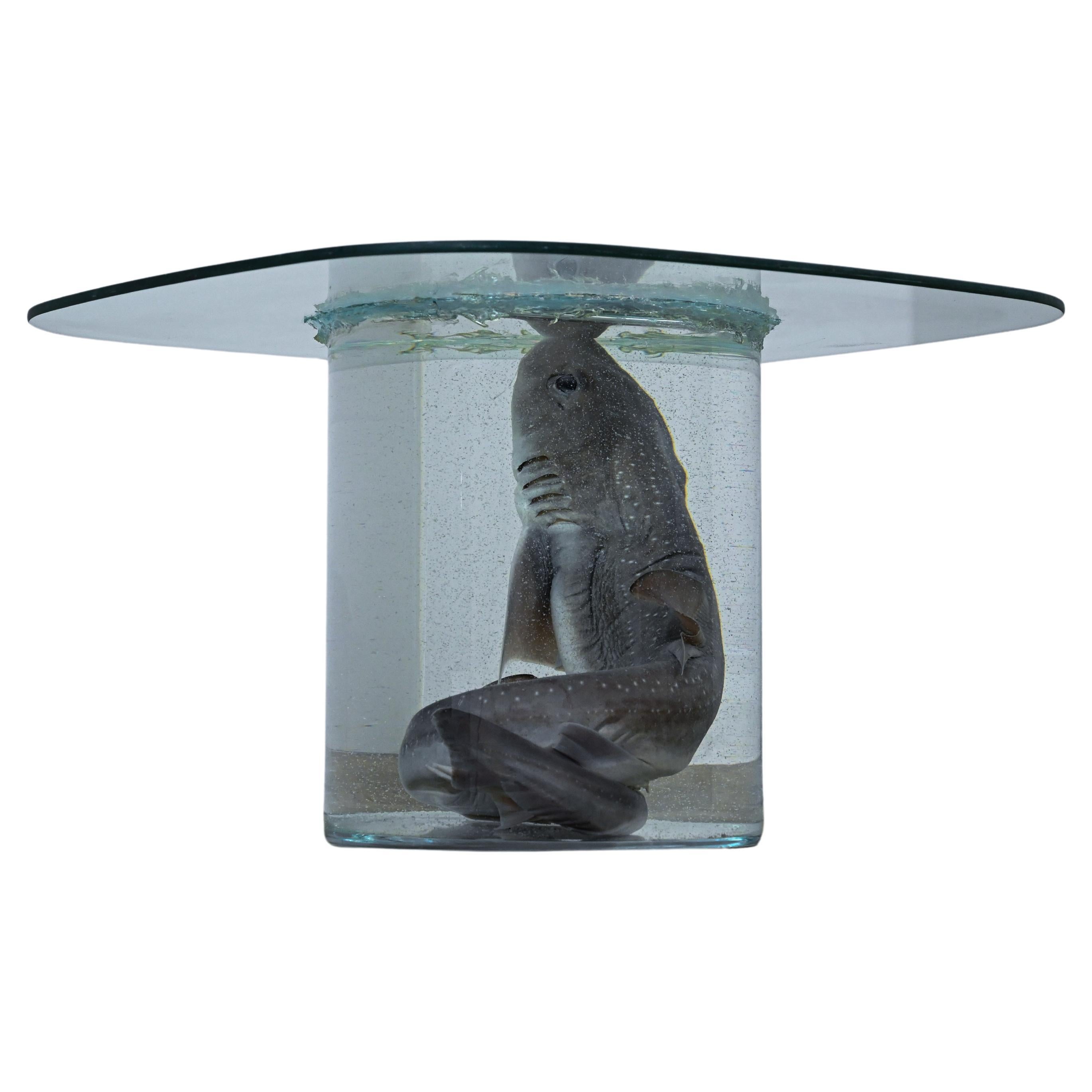 Shark on Formaldehyde Side Table, Taxidermy For Sale