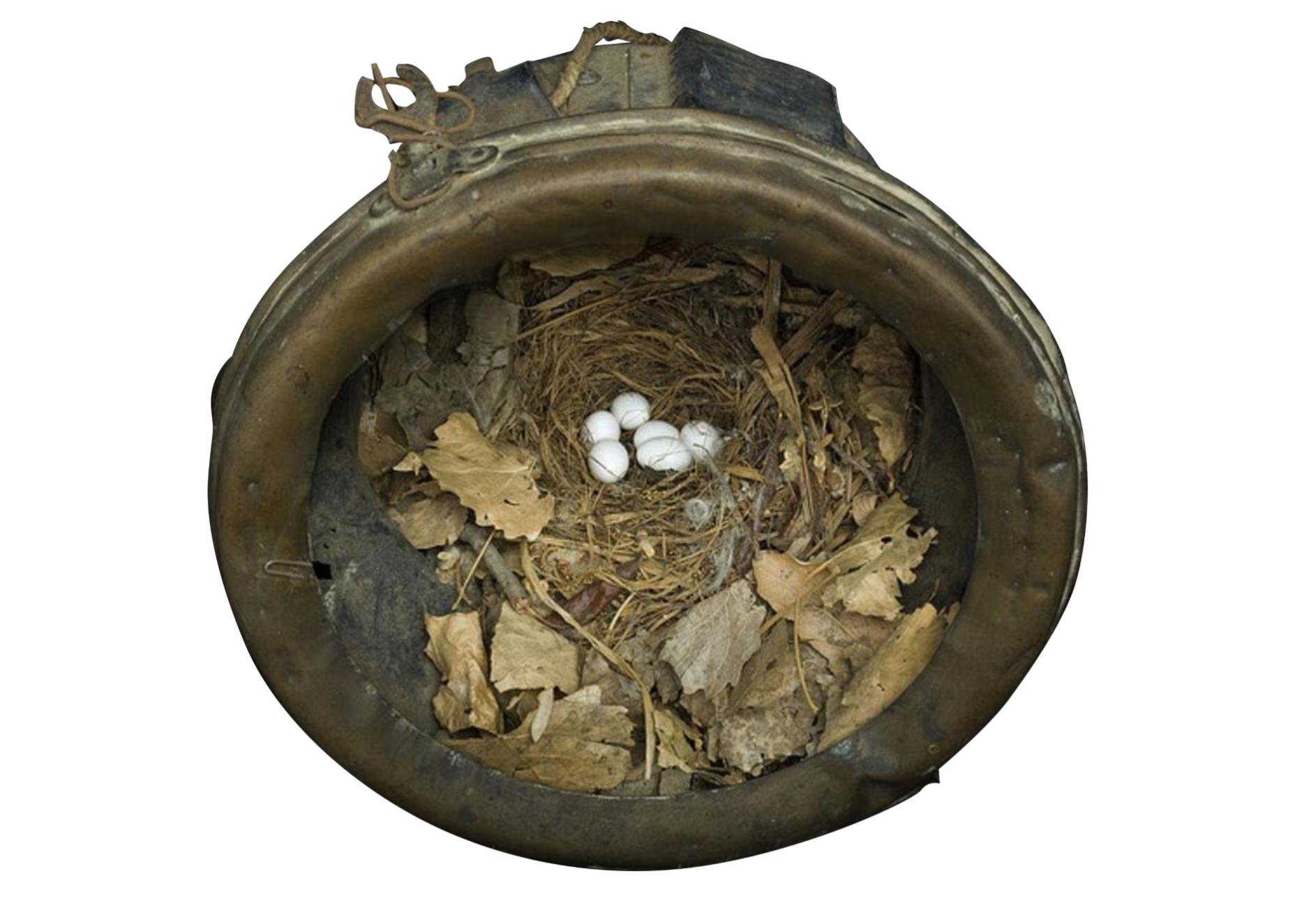 Contemporary Sharon Beals Lithograph of a Bewicks Wren Nest For Sale