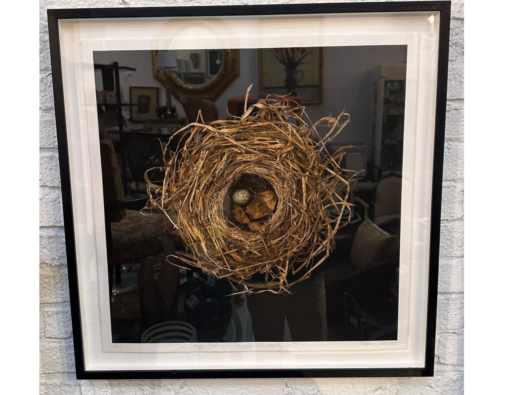 Modern Sharon Beals Lithograph of a Song Sparrow Nest For Sale