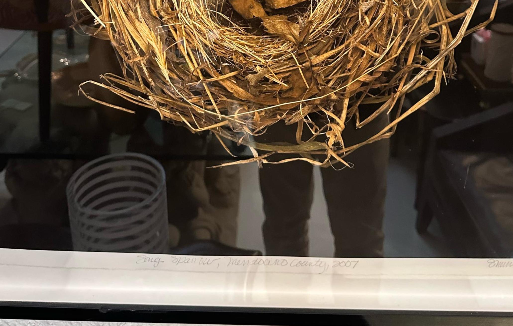 Sharon Beals Lithograph of a Song Sparrow Nest In Good Condition For Sale In LOS ANGELES, CA