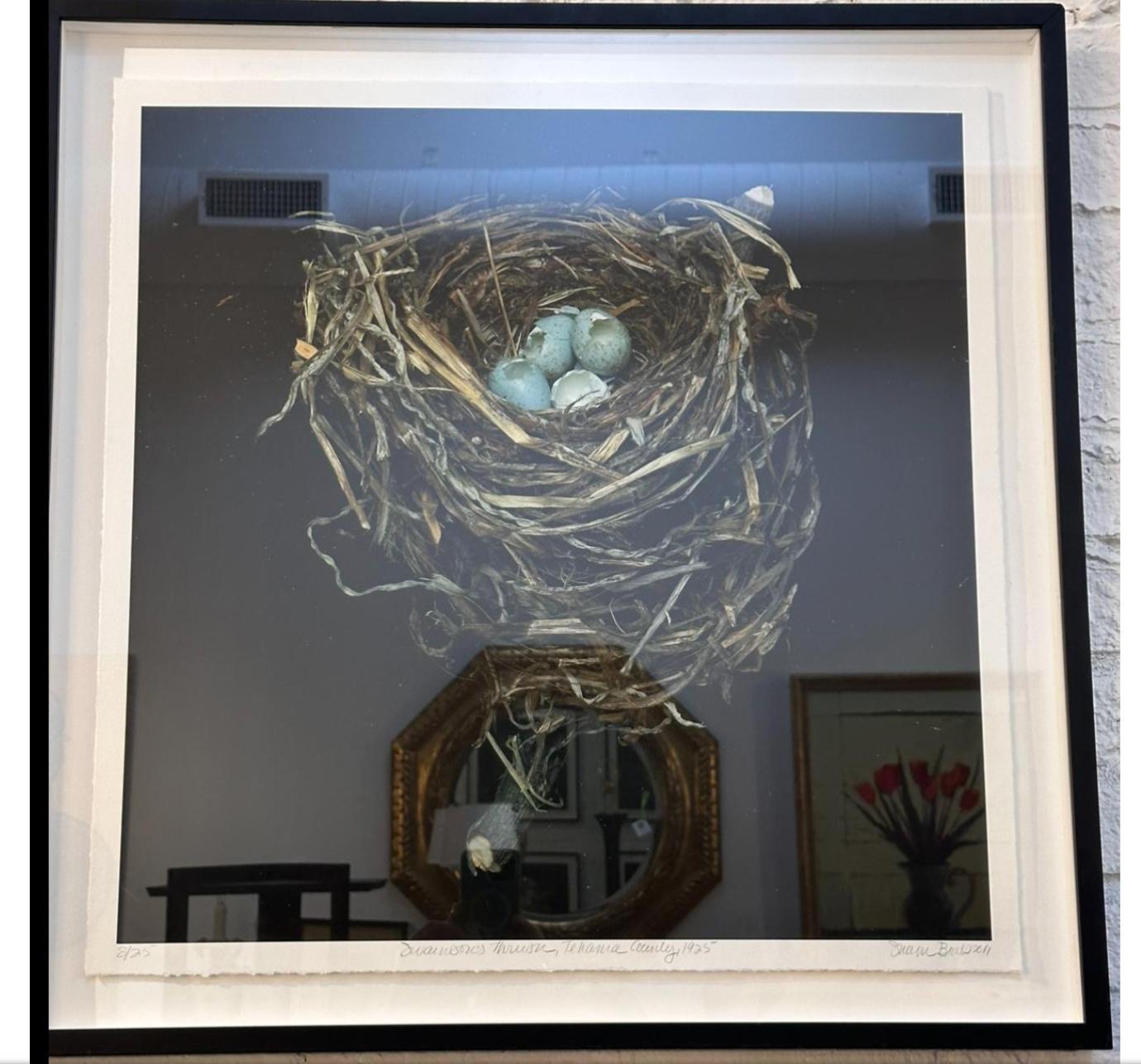 Modern Sharon Beals Lithograph of a Swainson's Thrush Nest For Sale
