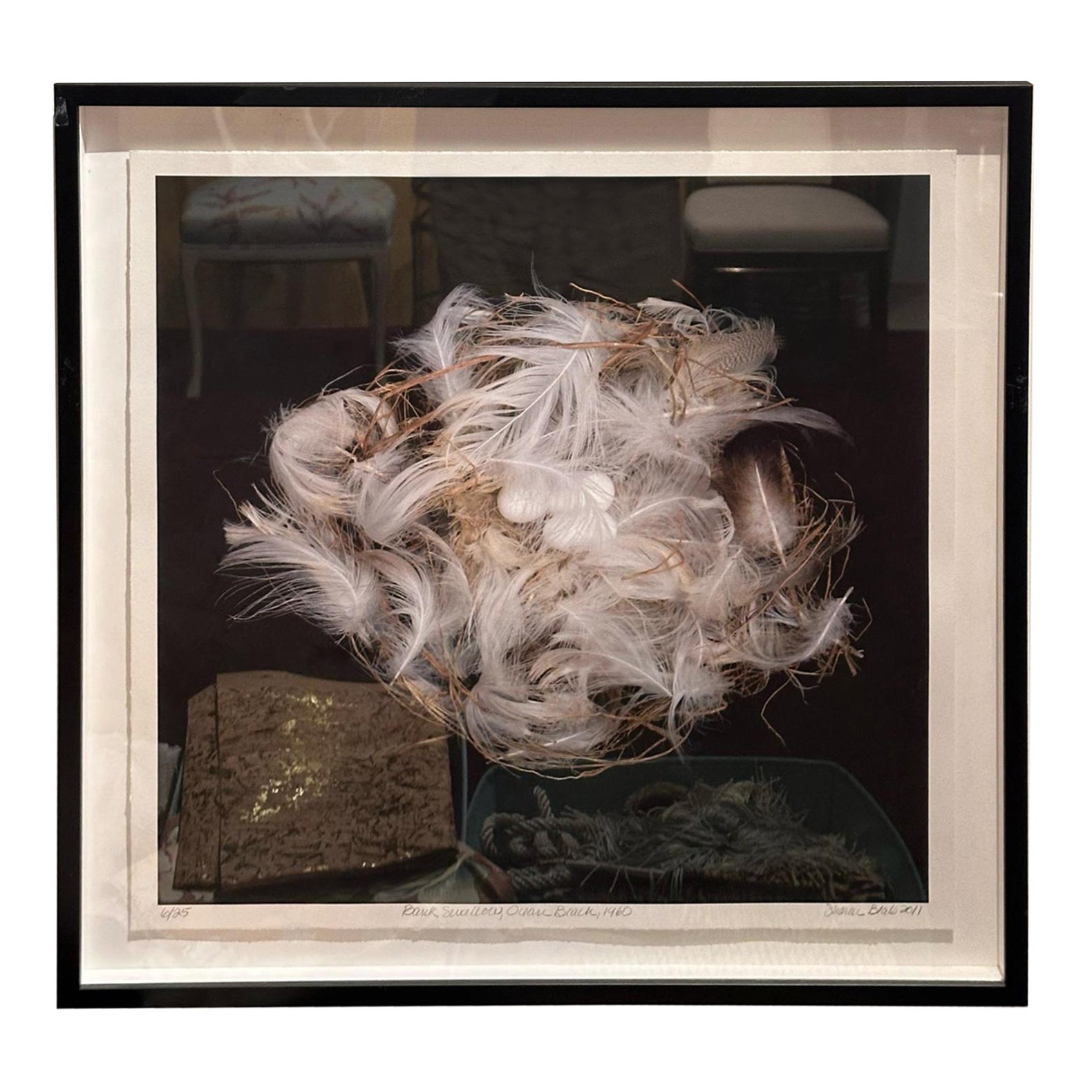 Lithographie de Nest de Sharon Beals - Bank Swallow 2011