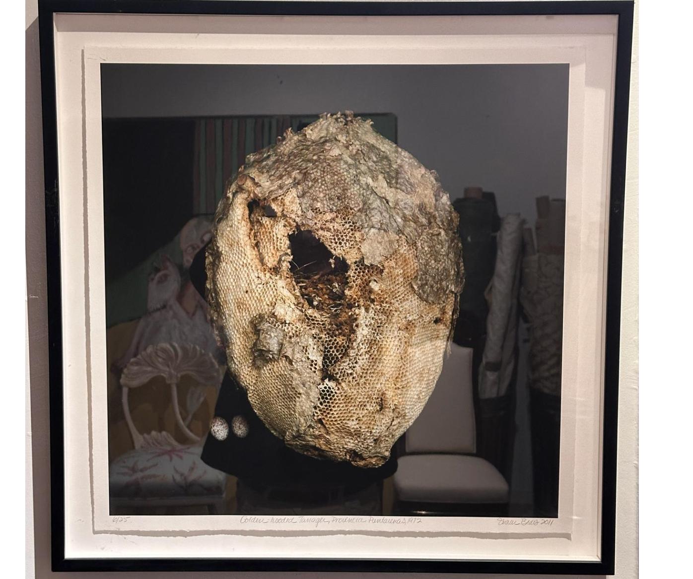 Sharon Beals Lithographie von Nest – Tanager aus goldenem Holz mit Holzimitat (Moderne) im Angebot
