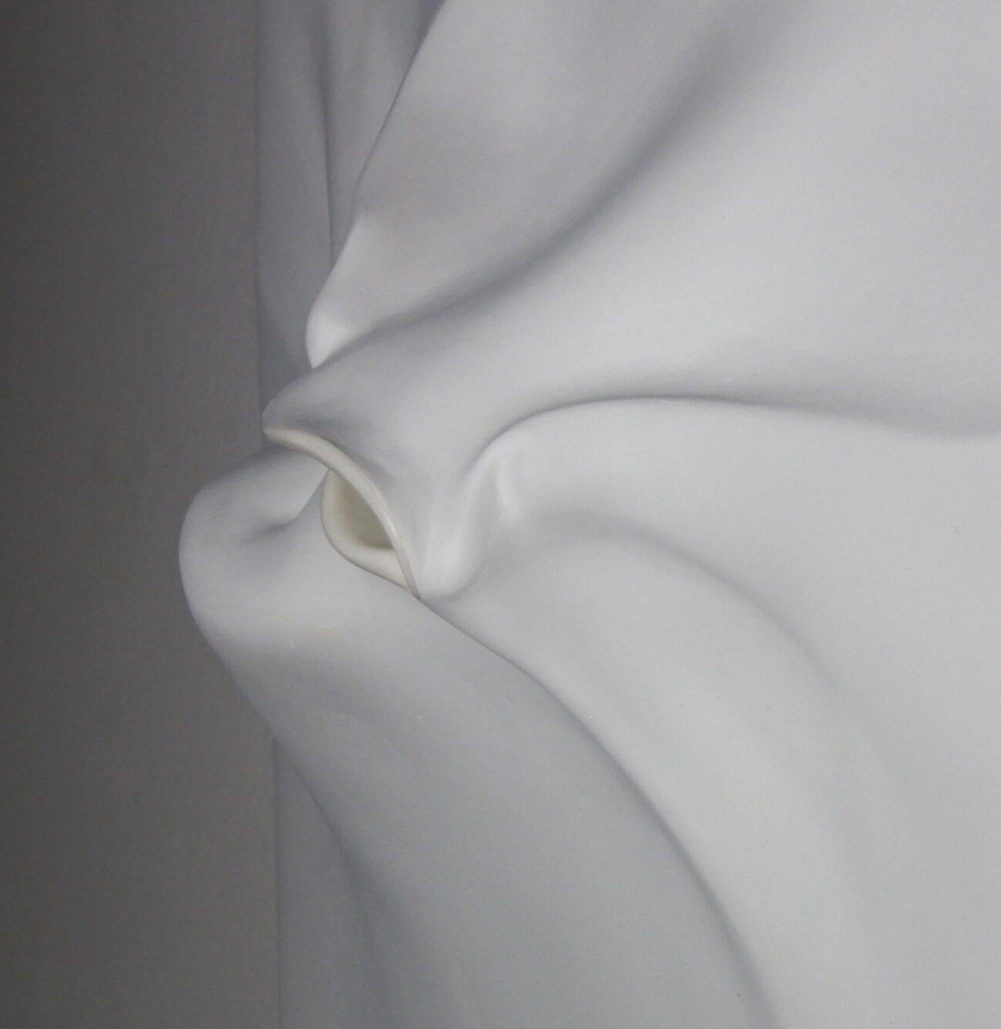 Be-formed 2 von Sharon Brill - Wandskulptur, Porzellan, Weiß, Ästhetik im Angebot 2