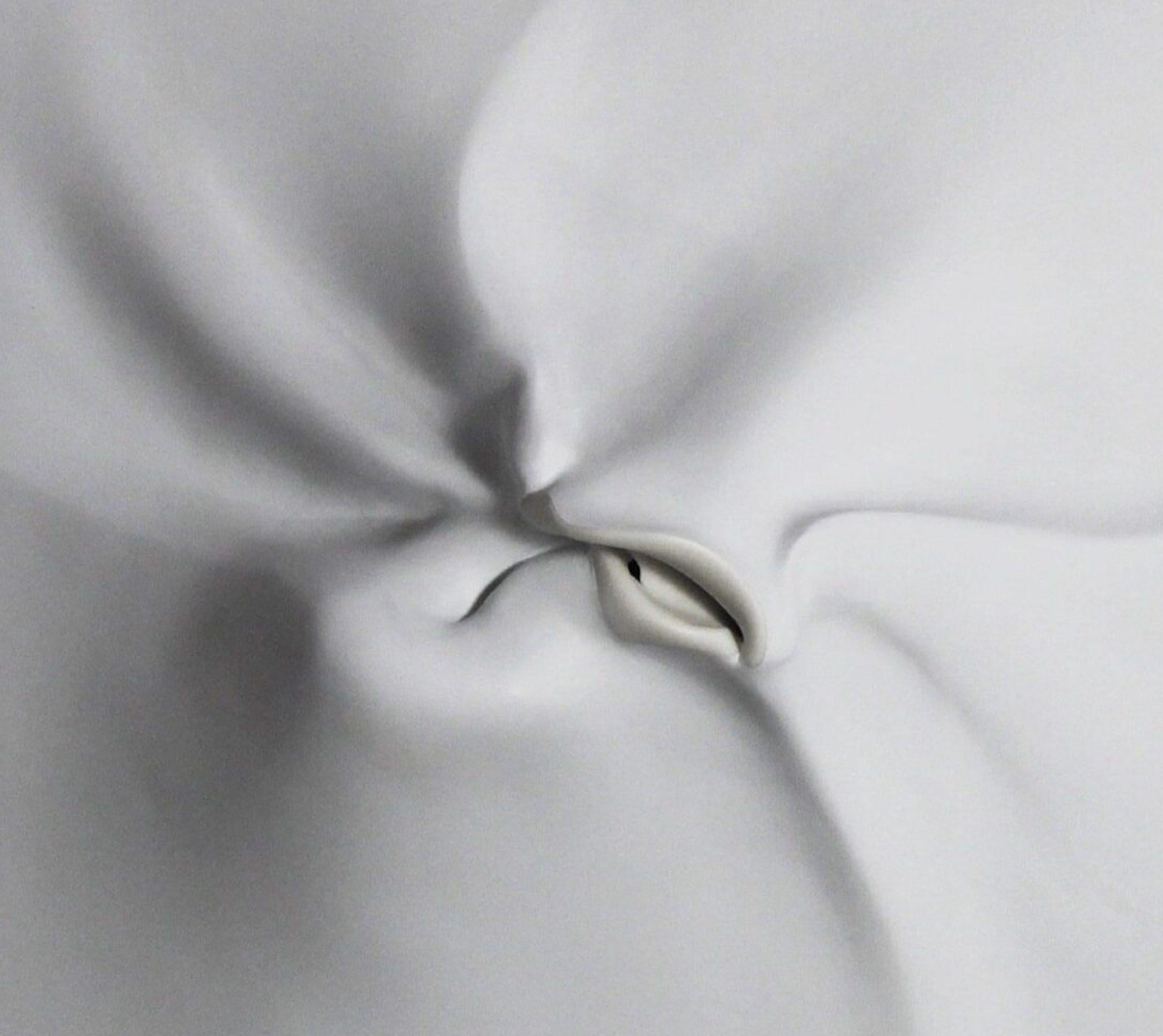 Be-formed 2 von Sharon Brill - Wandskulptur, Porzellan, Weiß, Ästhetik im Angebot 4