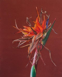 Bird of paradise 1 by Sharon Brill - Painting on Sandpaper, Wilted Flowers