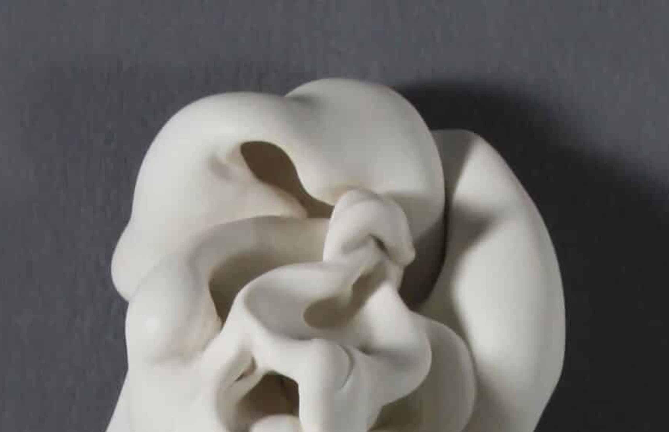 Motion by Sharon Brill - Abstract wall sculpture, porcelain, organic forms For Sale 2